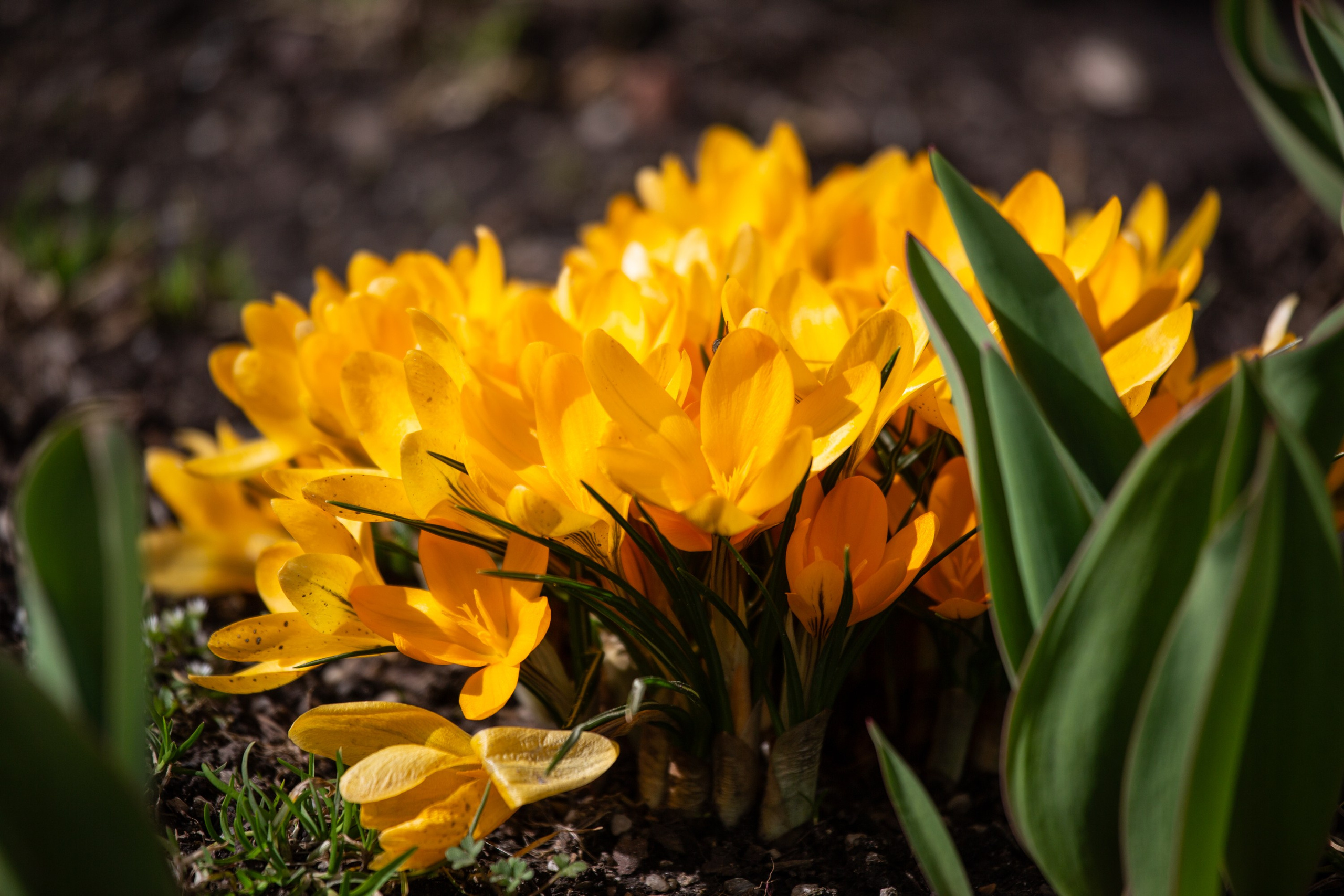 Весенняя фотопрогулка. Главная