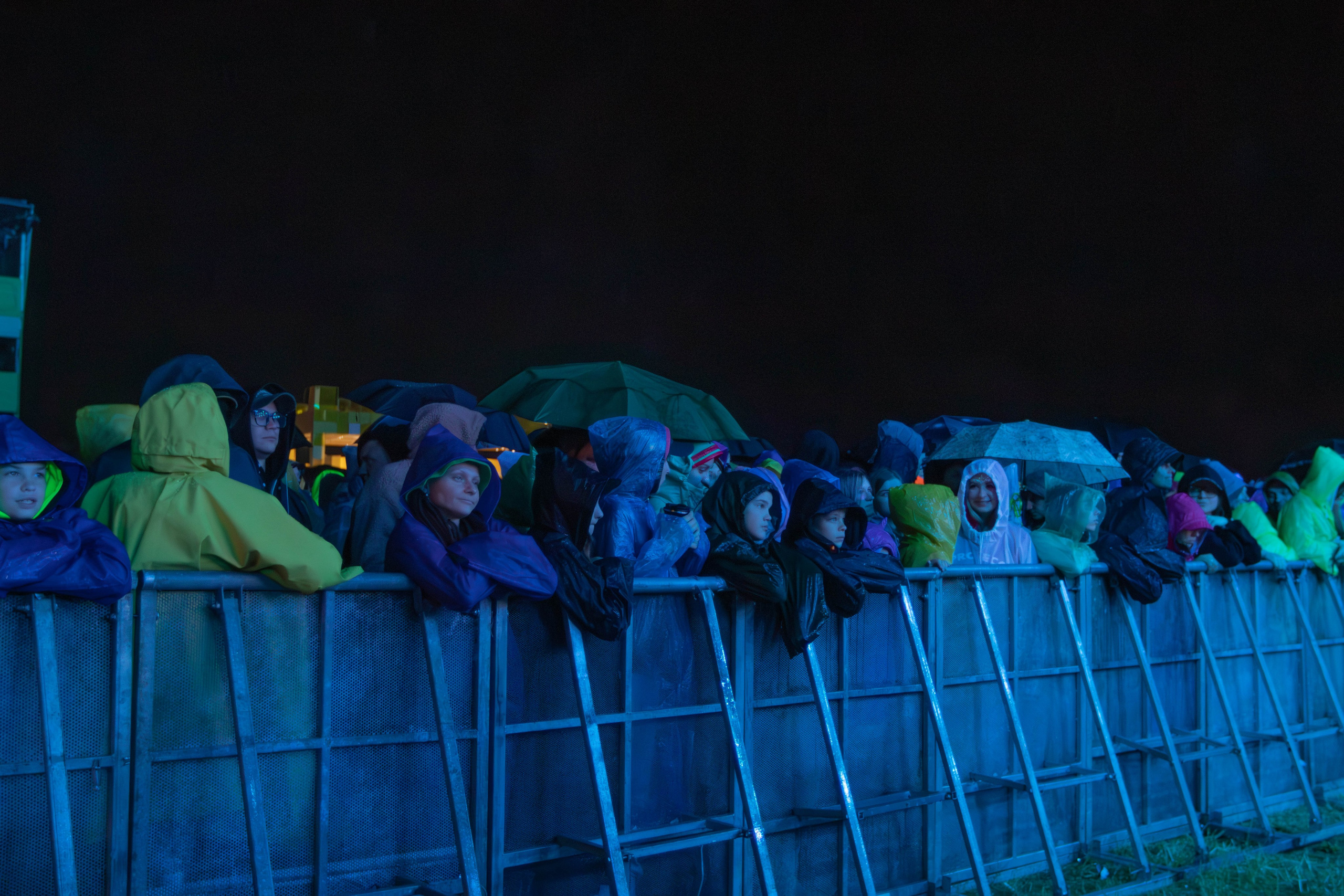 Дикая мята 2025. Концертный фотограф