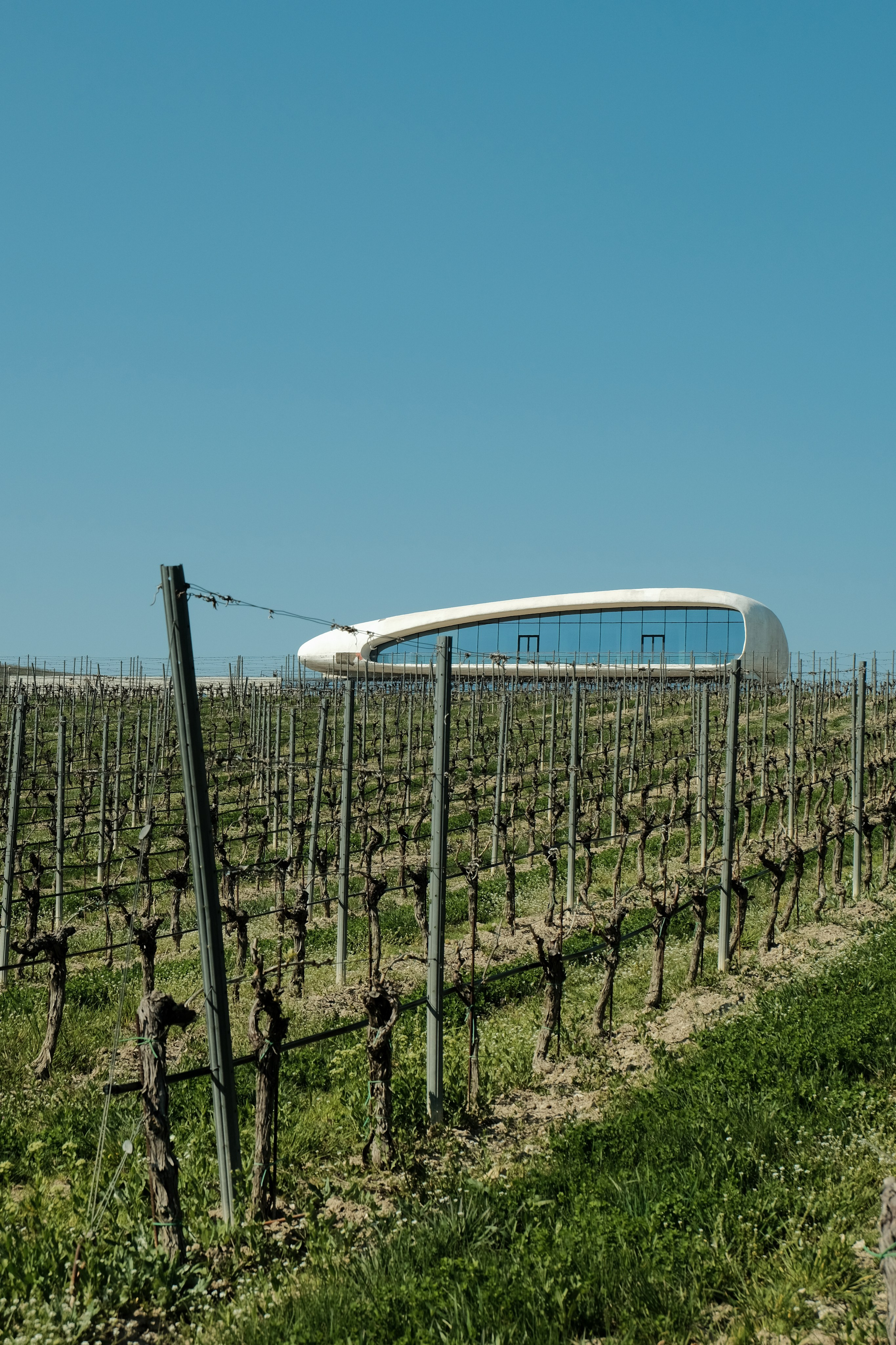 Russian wineries. Creative travel photographer — Berg Daria