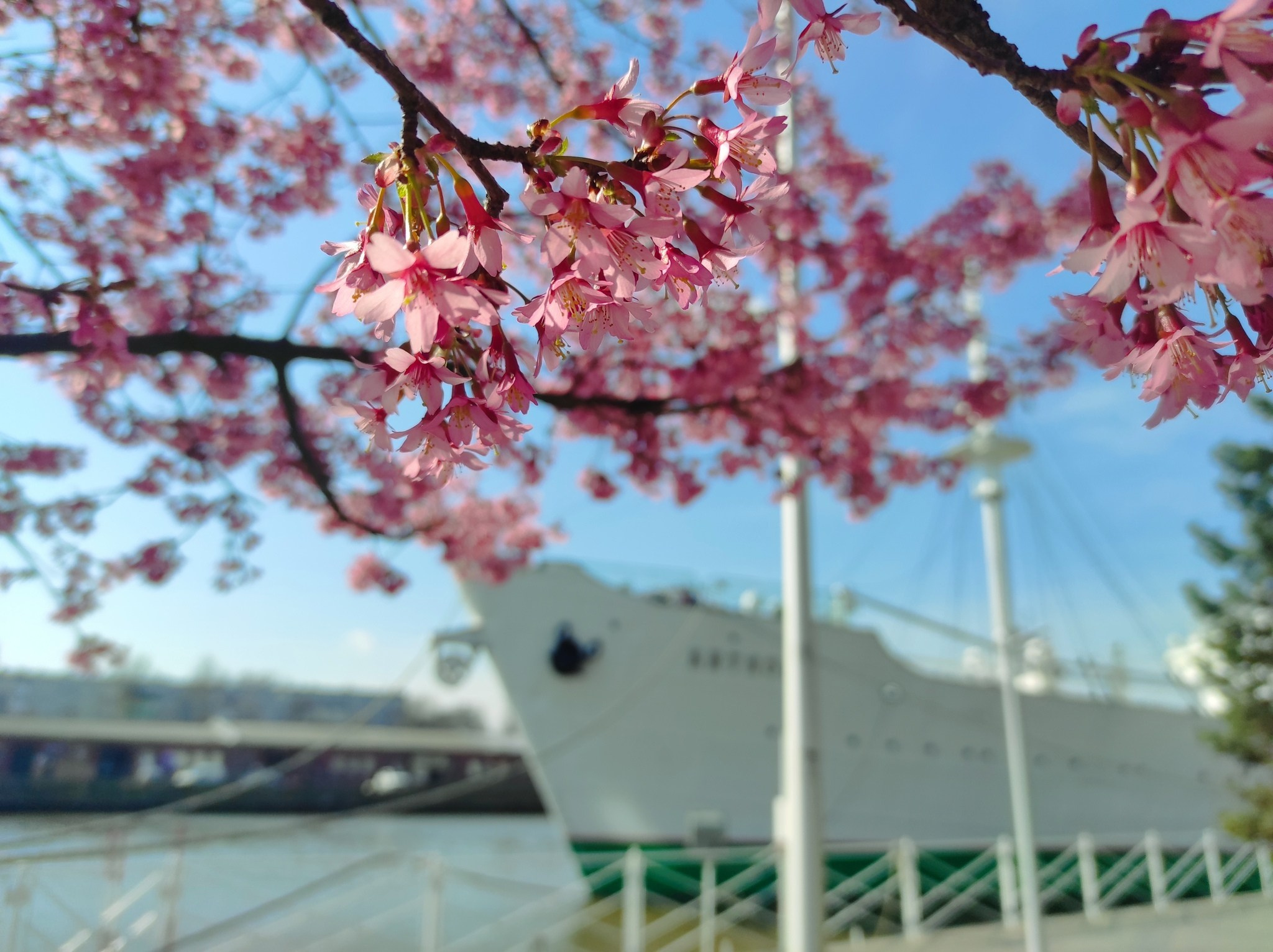 Весна в Калининграде