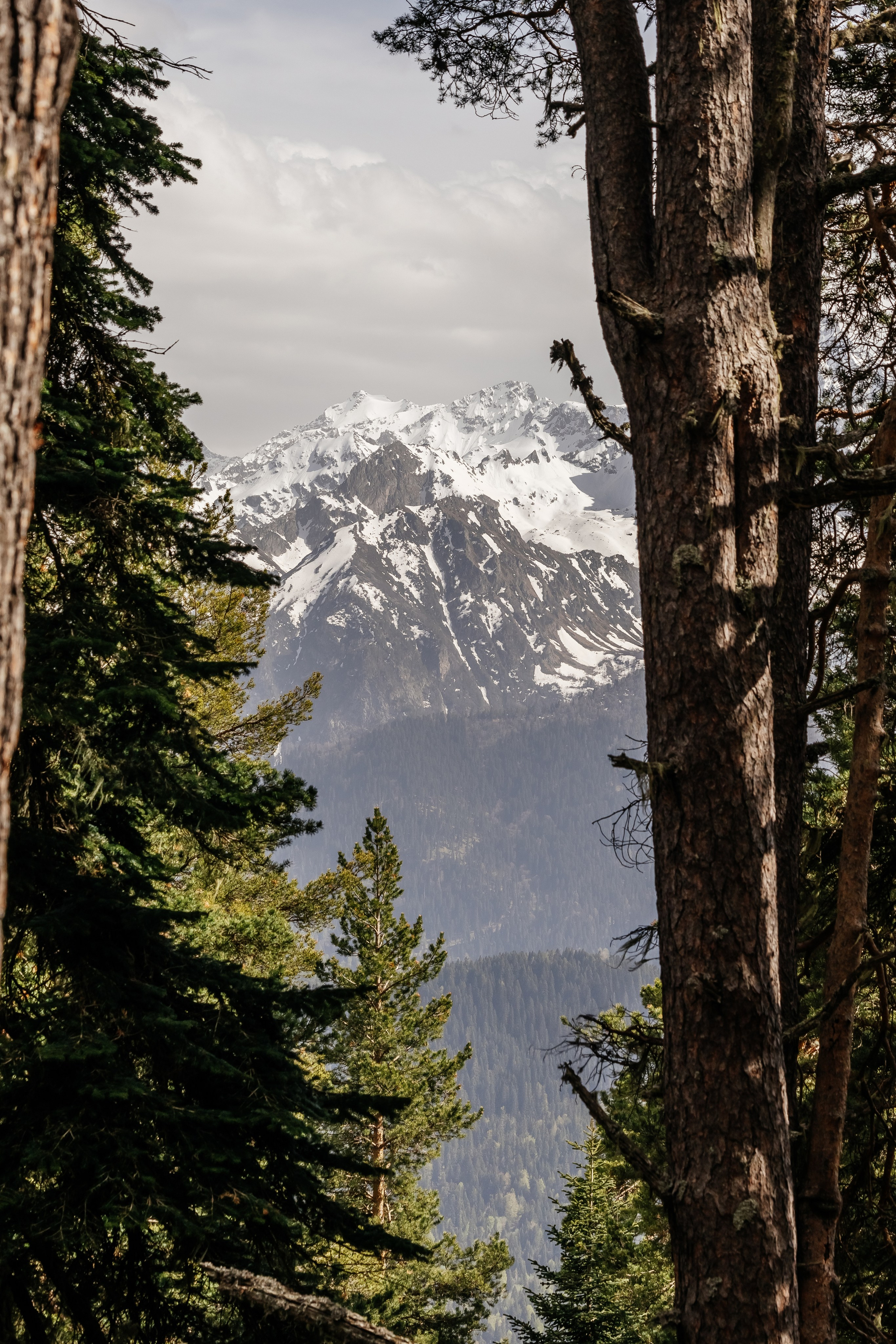 Animal. Фотограф Краснодар Марго Хелбен
