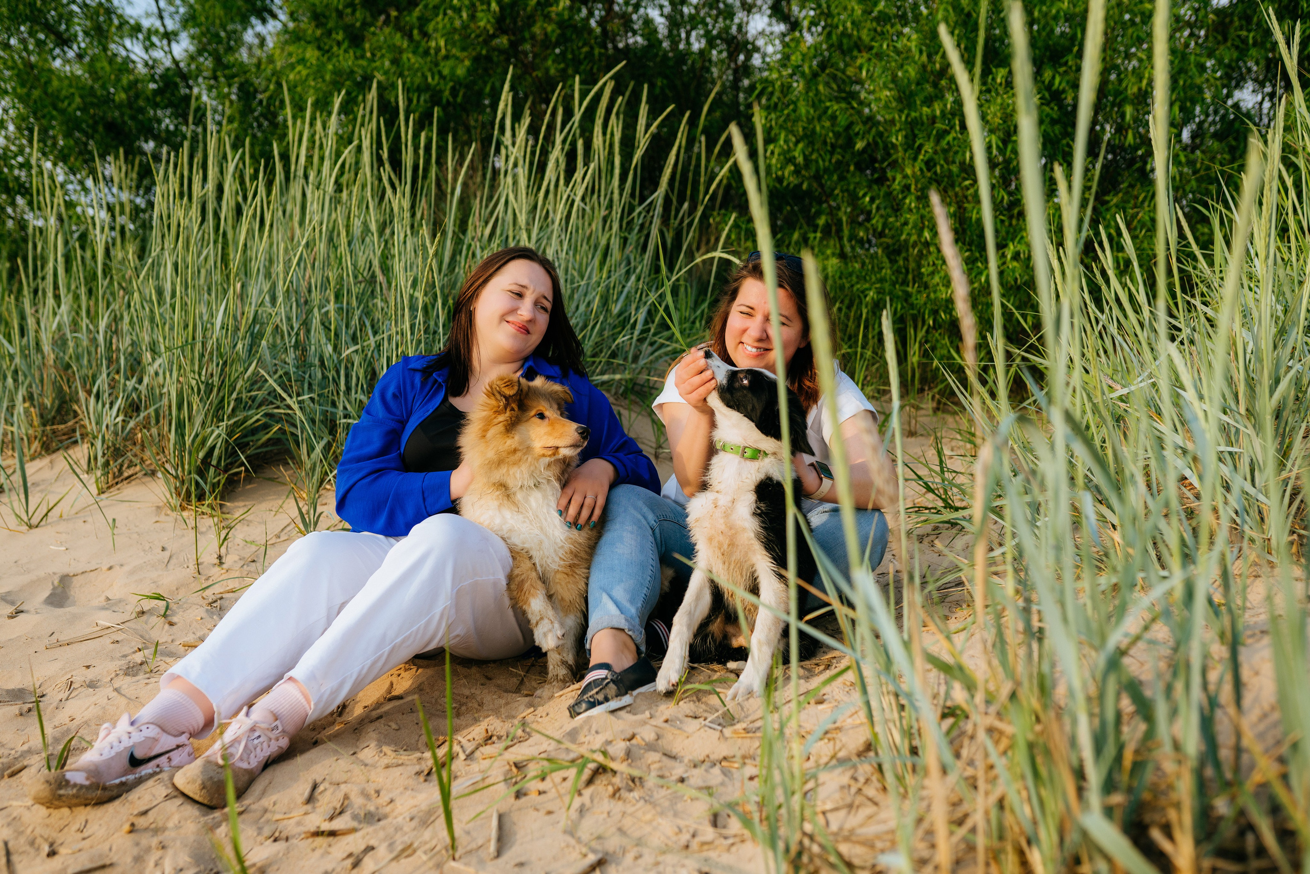 Фотосессия со щенками колли. Фотограф анималист в Спб недорого Олеся Майорова