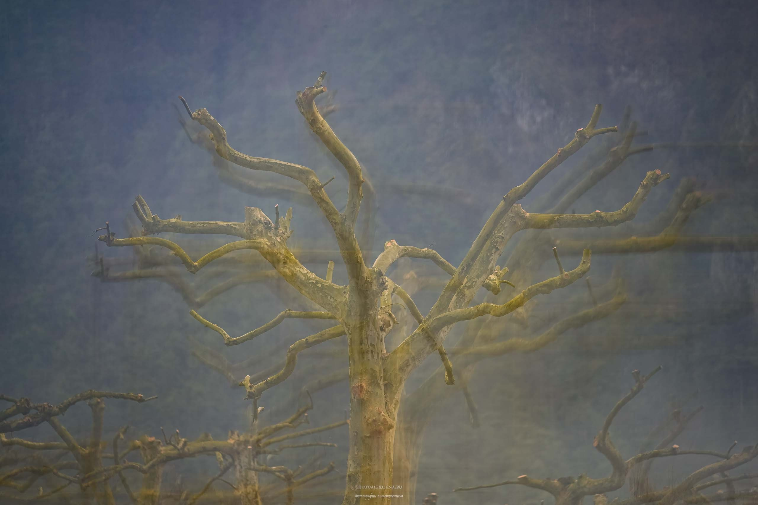 Озеро Идро-маленькая жемчужина. Авторские стильные фотокартины