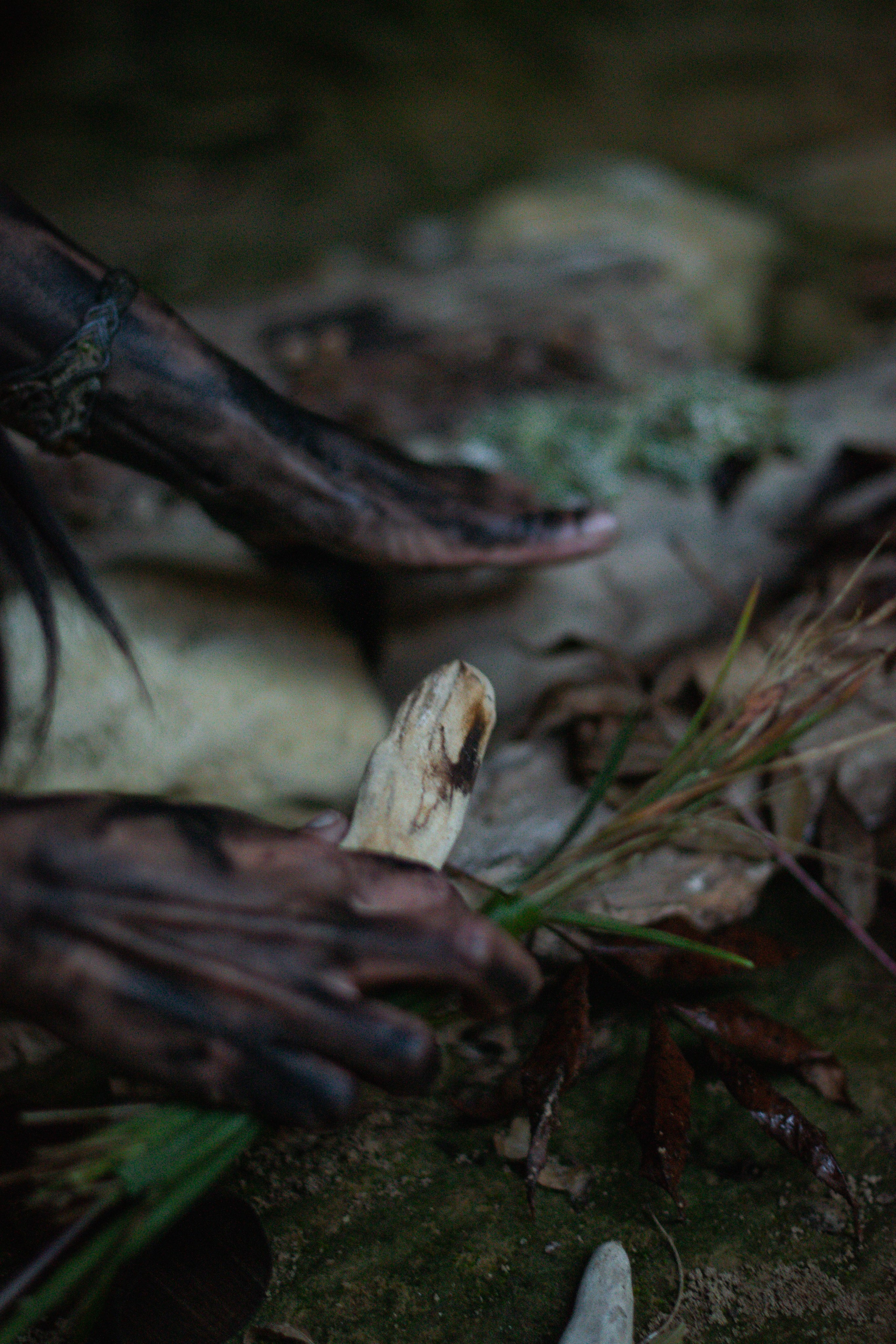 Шаман. Фотограф в Севастополе