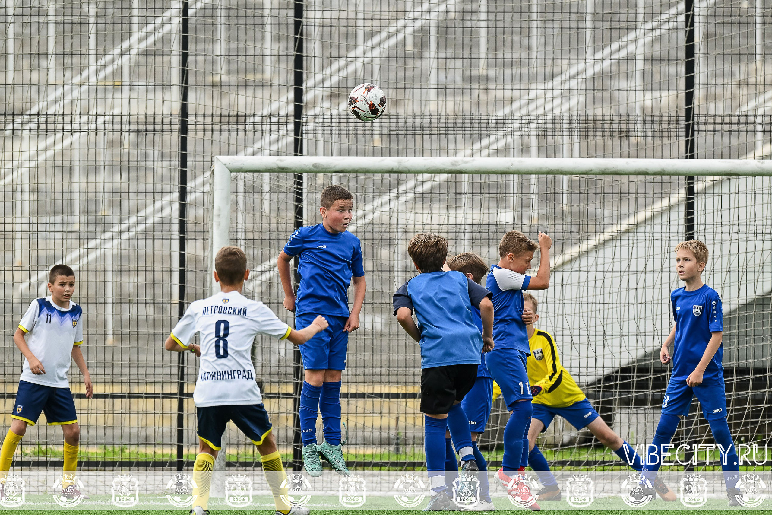 Калининградская Детская Футбольная Лига. VIBECITY.RU Вайб Сити Ру Фоторепортажи Фотоотчеты Калининград