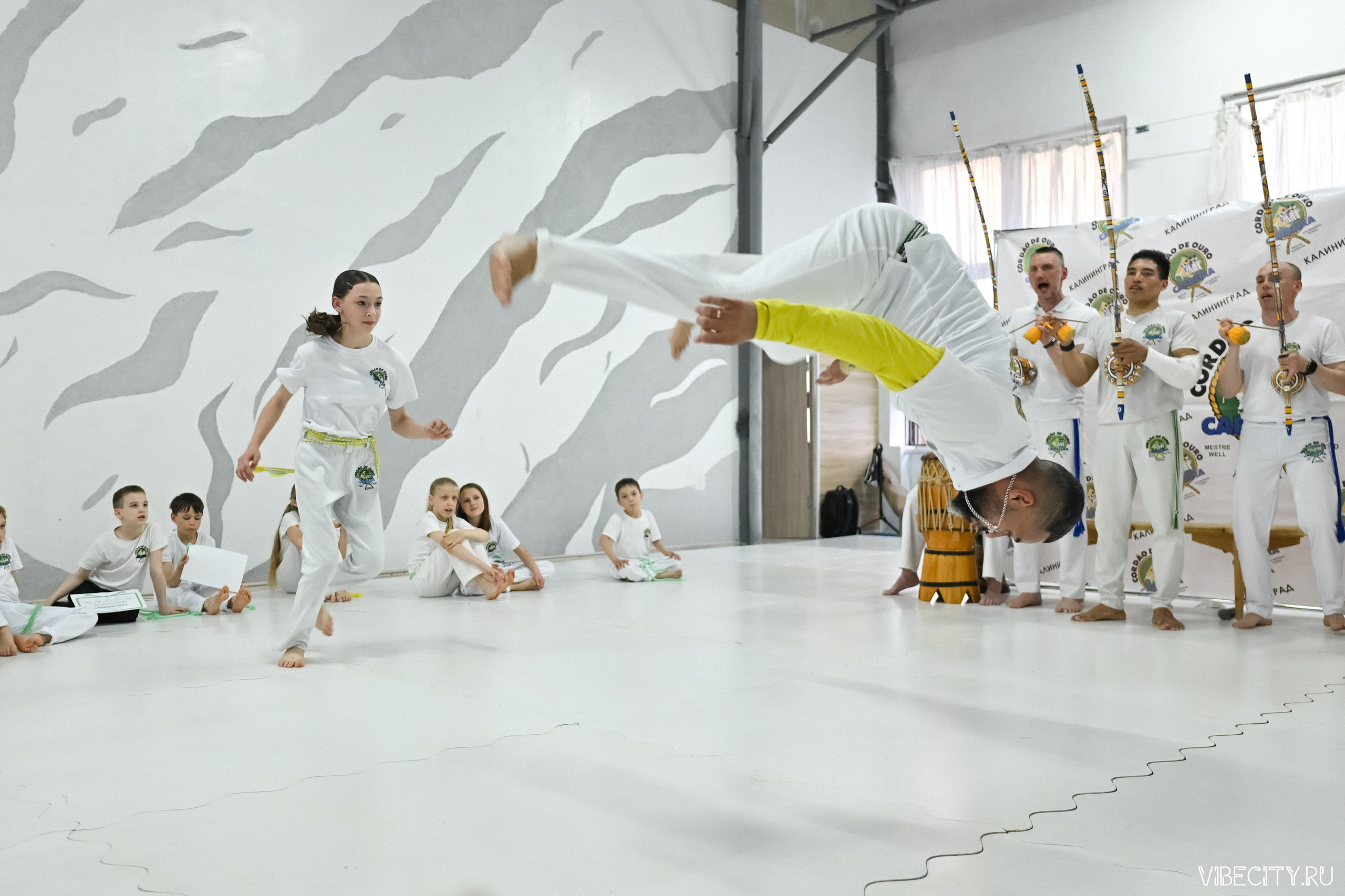Capoeira: 4-е batizado e Troca de cordao. VIBECITY.RU Вайб Сити Ру Фоторепортажи Фотоотчеты Калининград