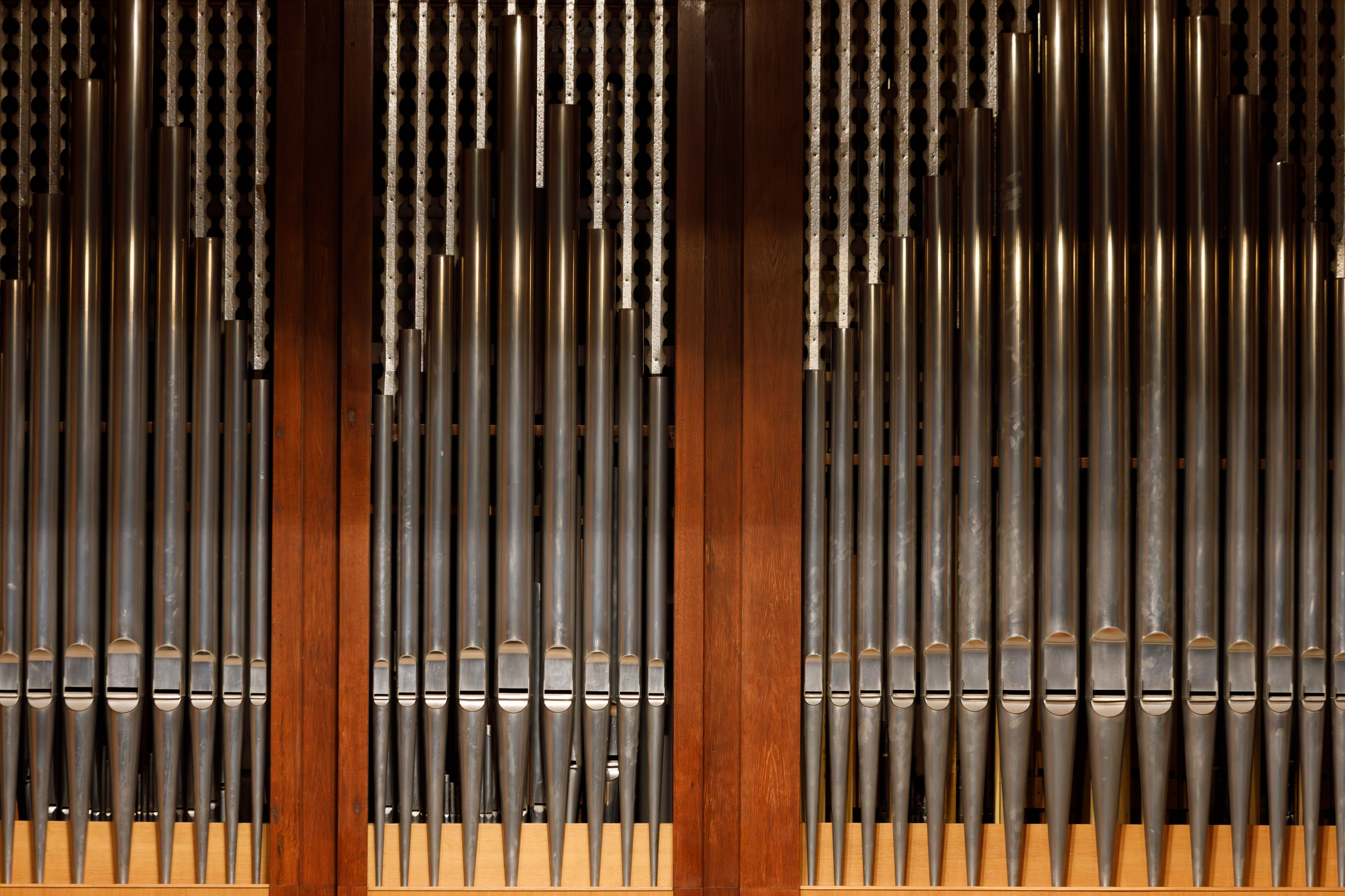 Фотография органа в Сочи