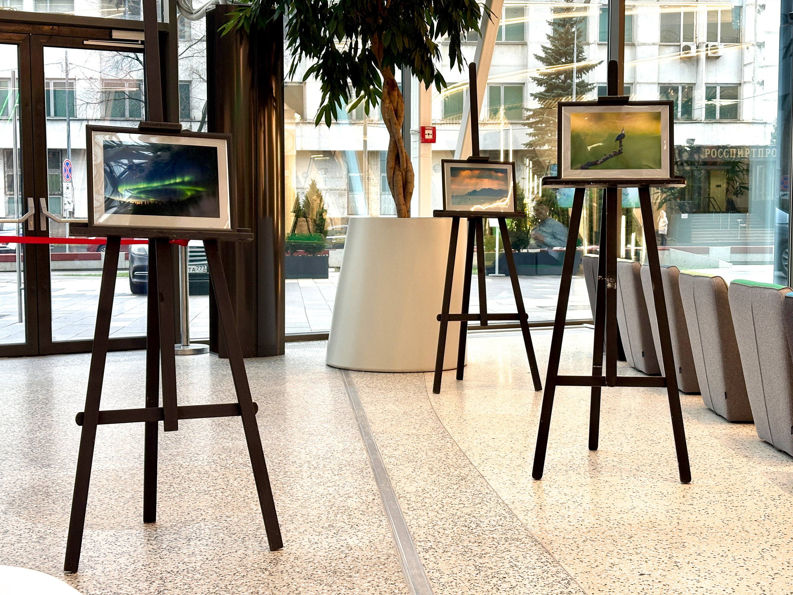 Фотовыставка-ярмарка. PHOTO COMMUNITY #SBERTEAM