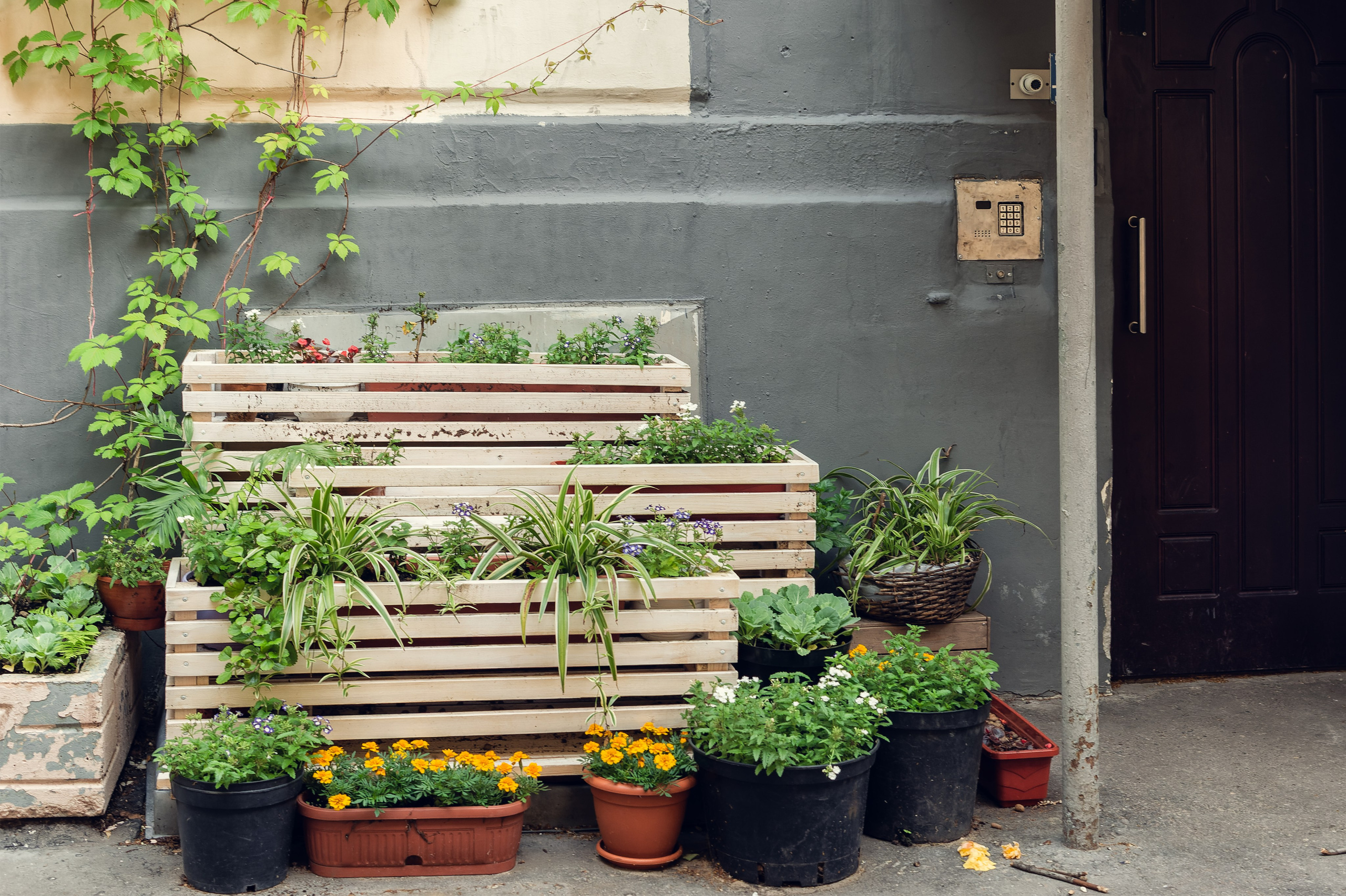 Фотограф на экскурсию Москва и Московская область