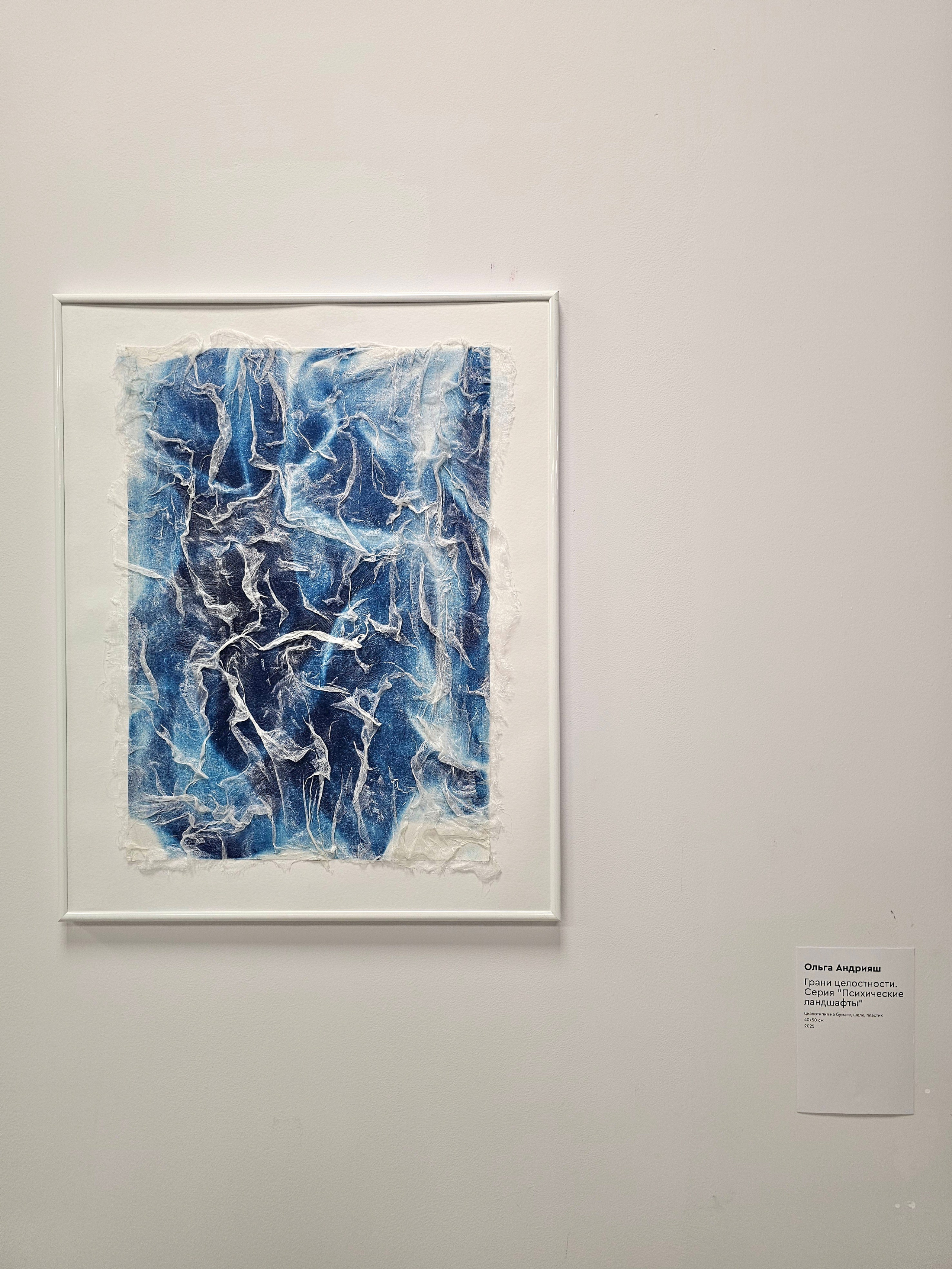 CYANOTYPE. CONTEMPORARY ARTIST OLGA ANDRIYASH