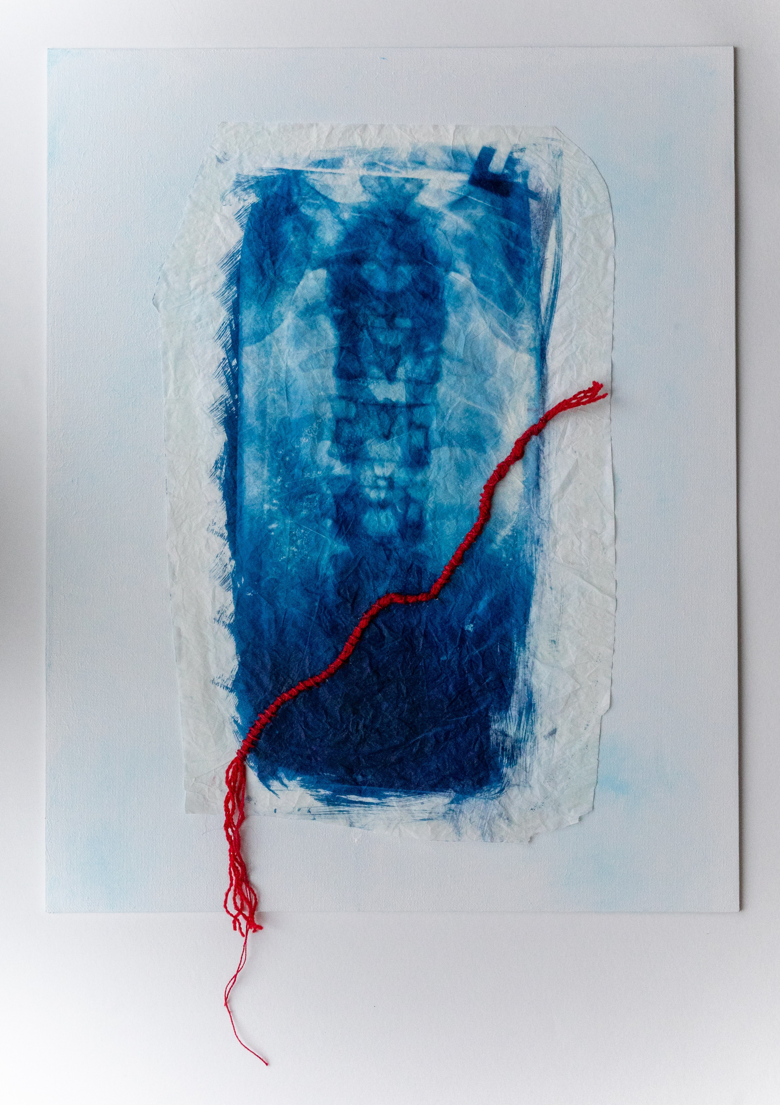 CYANOTYPE. CONTEMPORARY ARTIST OLGA ANDRIYASH