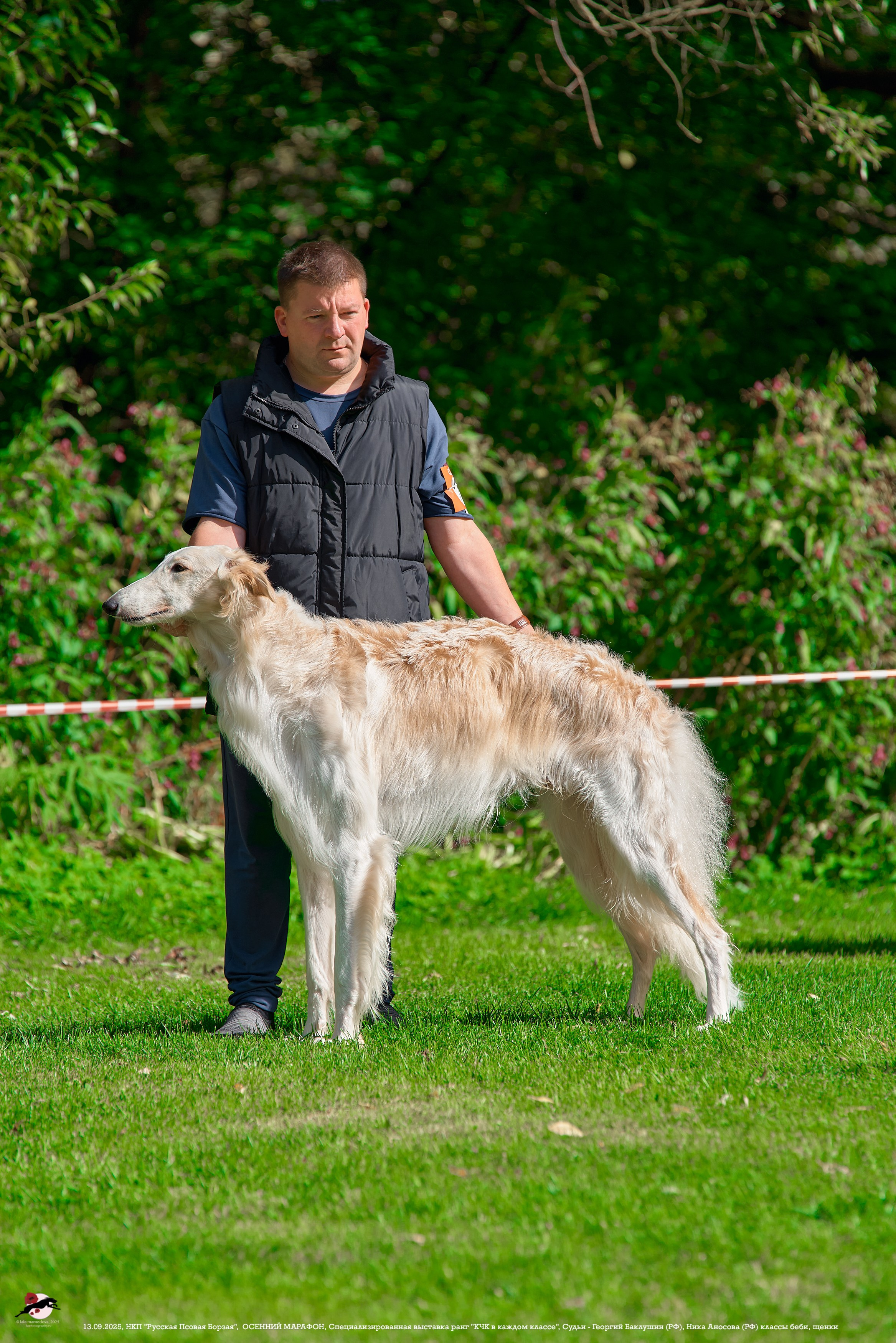 ОСЕННИЙ МАРАФОН | Специализированная выставка породы Русская Псовая Борзая ранг "КЧК в каждом классе"