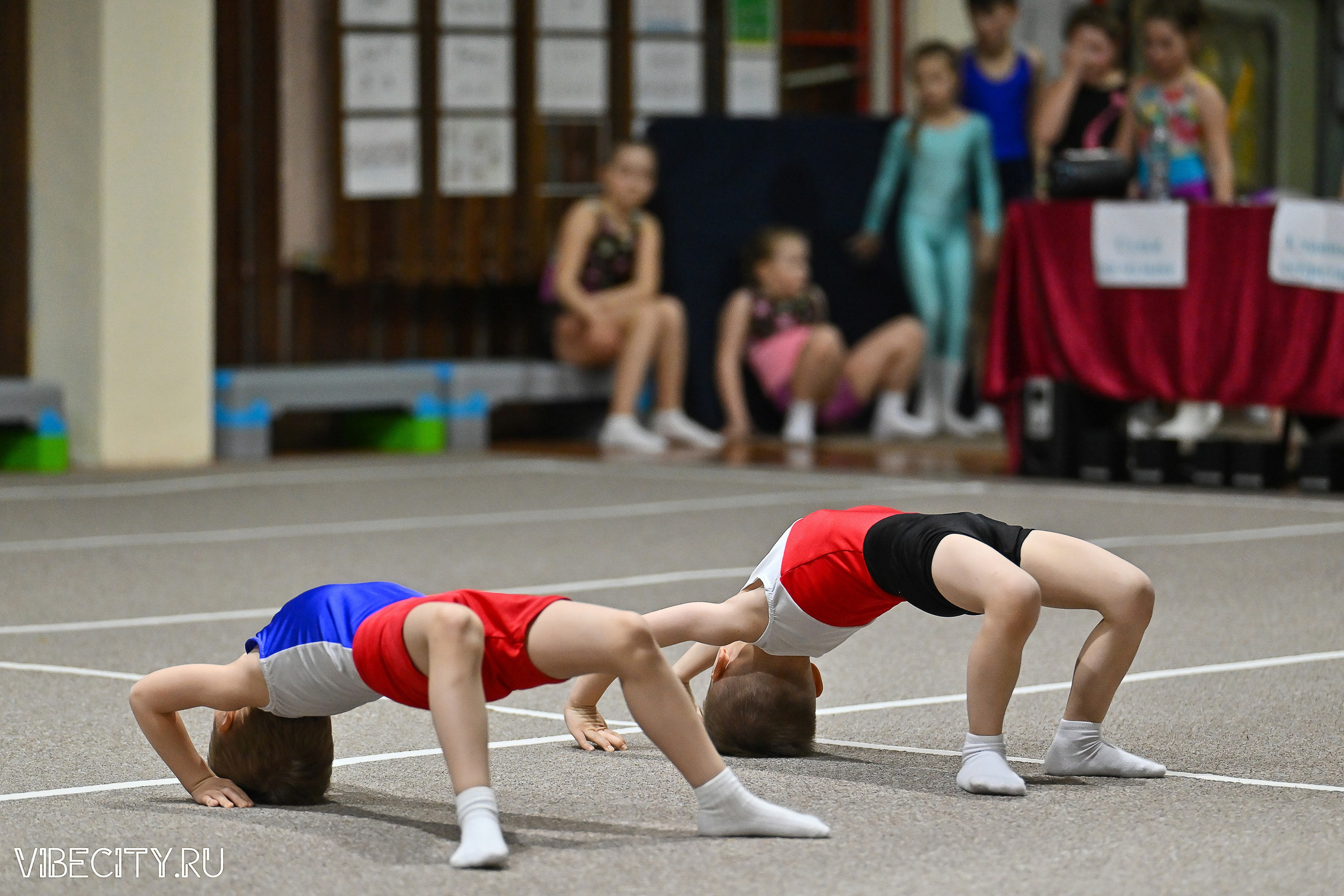 Контрольная тренировка по спортивной гимнастике. VIBECITY.RU Вайб Сити Ру Фоторепортажи Фотоотчеты Калининград