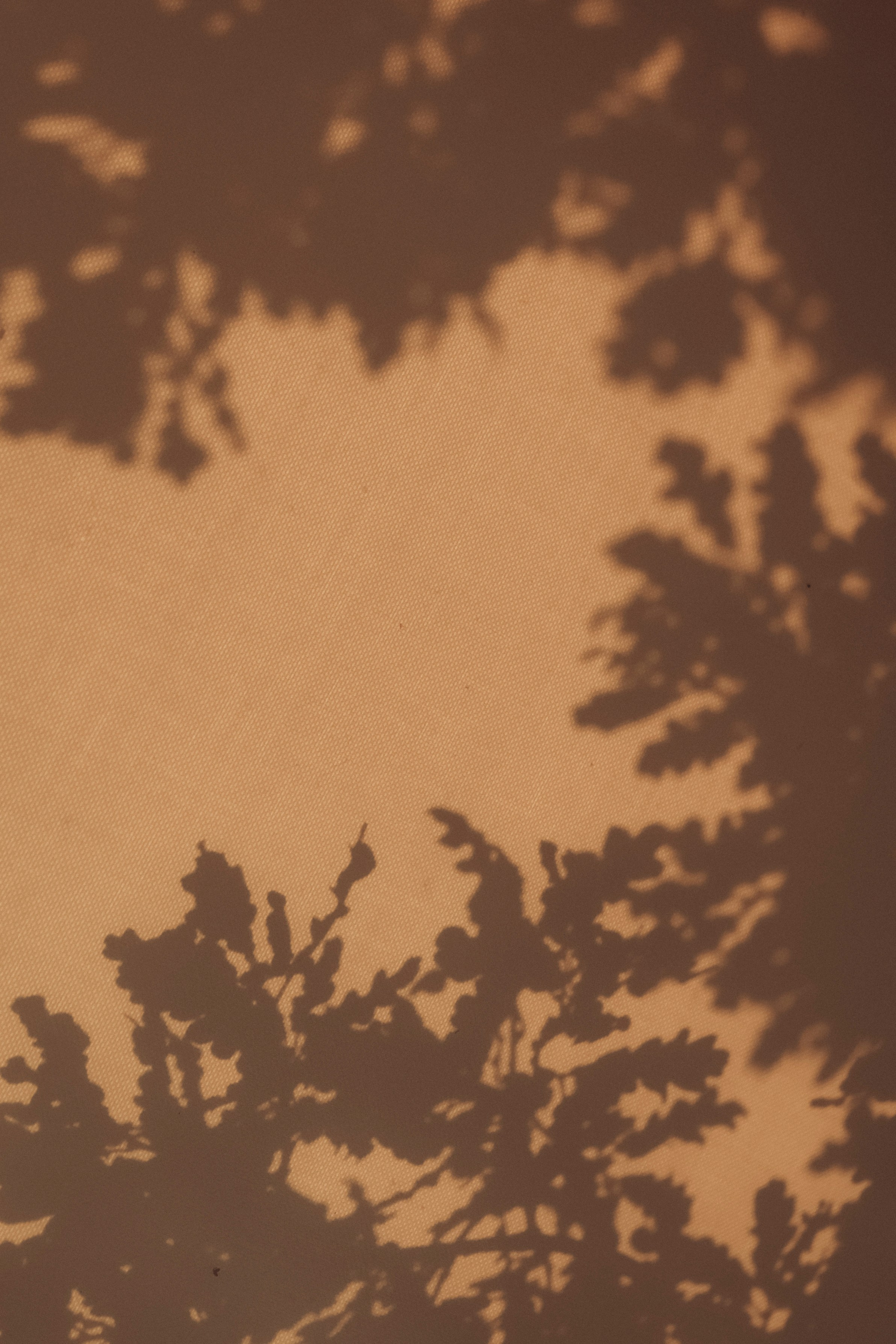 Свадебный, портретный, семейный фотограф. Севастополь, Ялта, Симферополь, Крым. Видеограф в Крыму на свадьбу