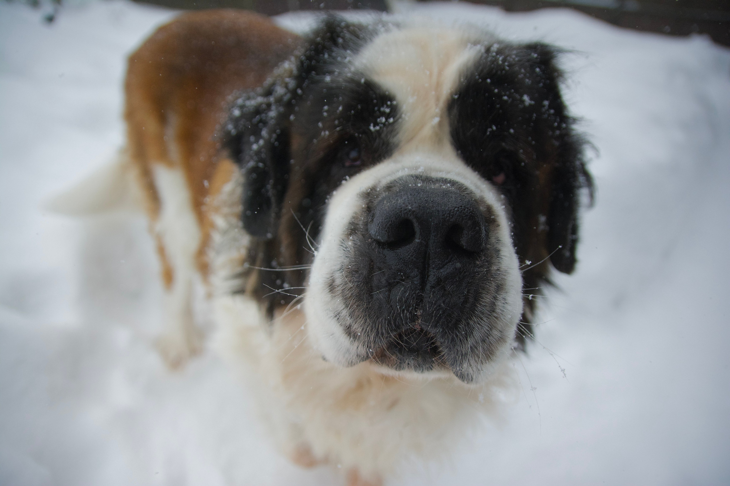 F/8 and be there — оказаться в нужном месте и поймать момент