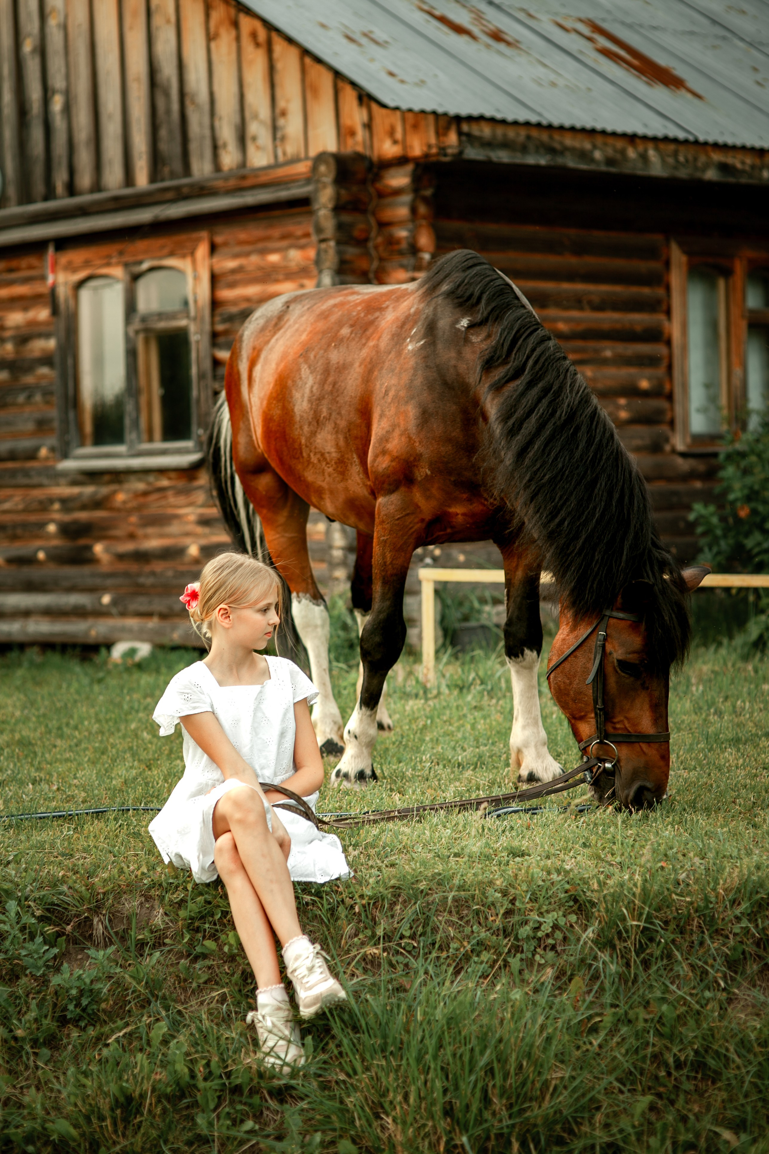 Костин двор. Фотограф Казначеева Юлия Иваново/Москва