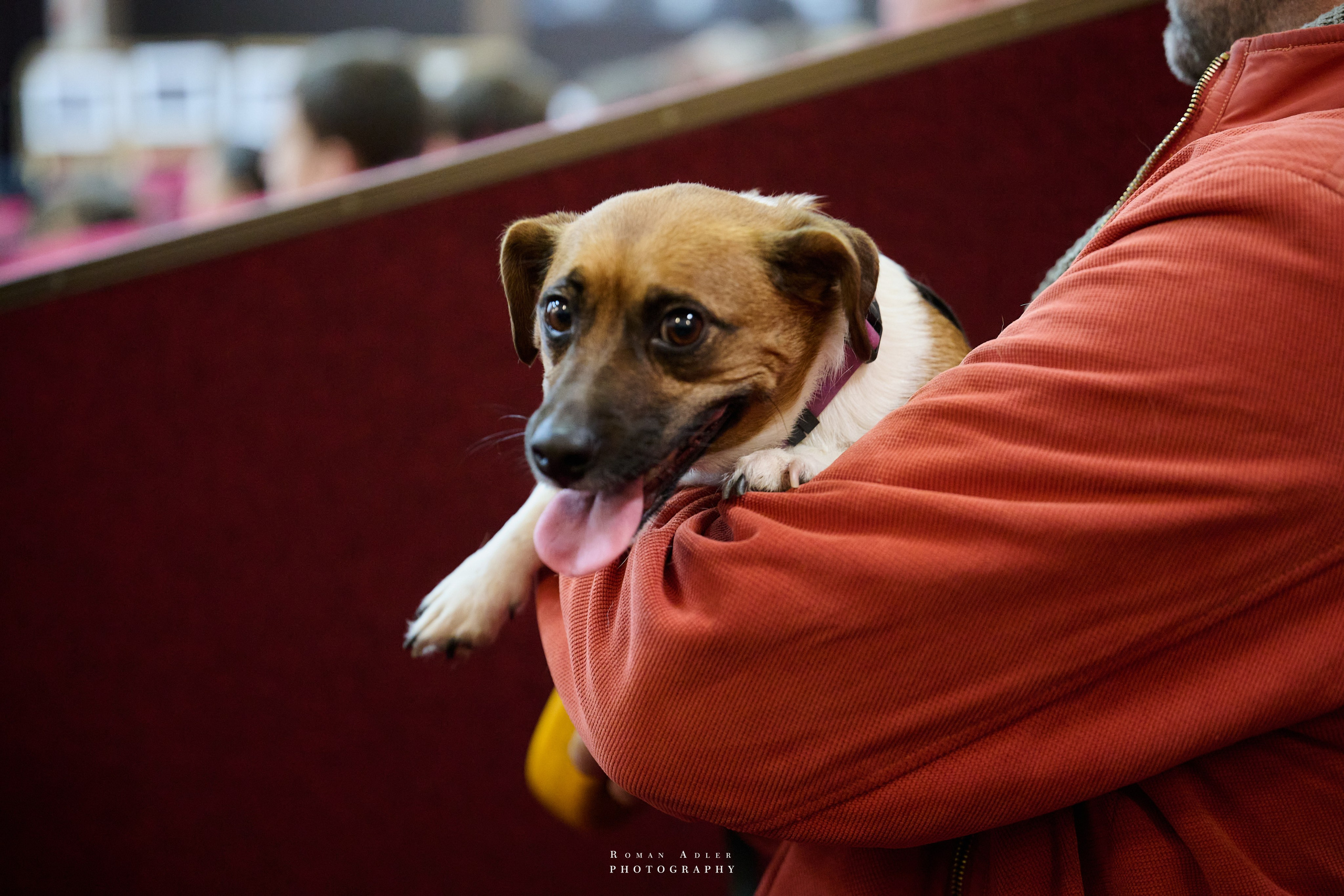 ДК «Победа» выставка фотопроекта «Территории». Фотограф Роман Адлер