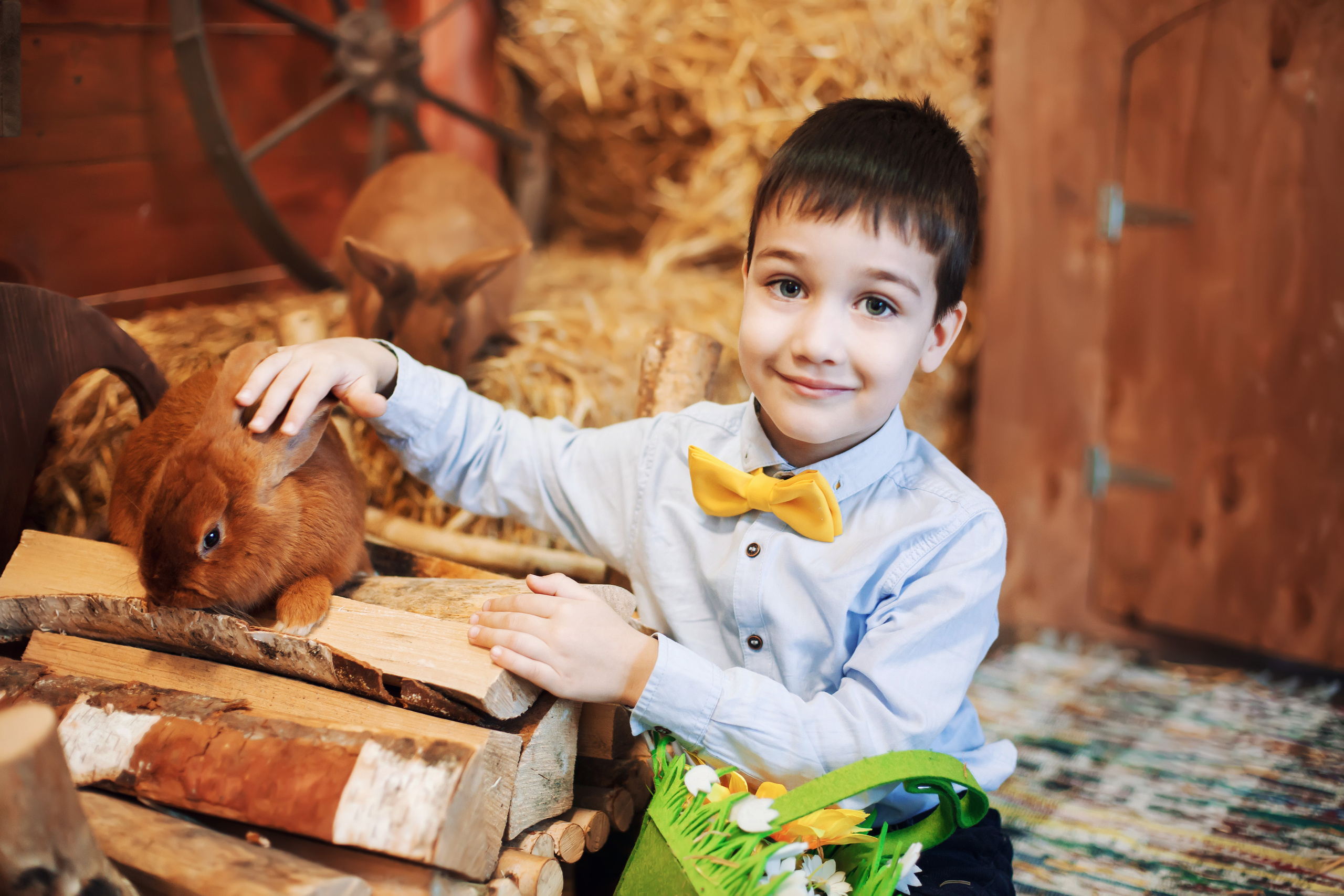Семейный и свадебный фотограф в Ярославле Надежда Бойкова