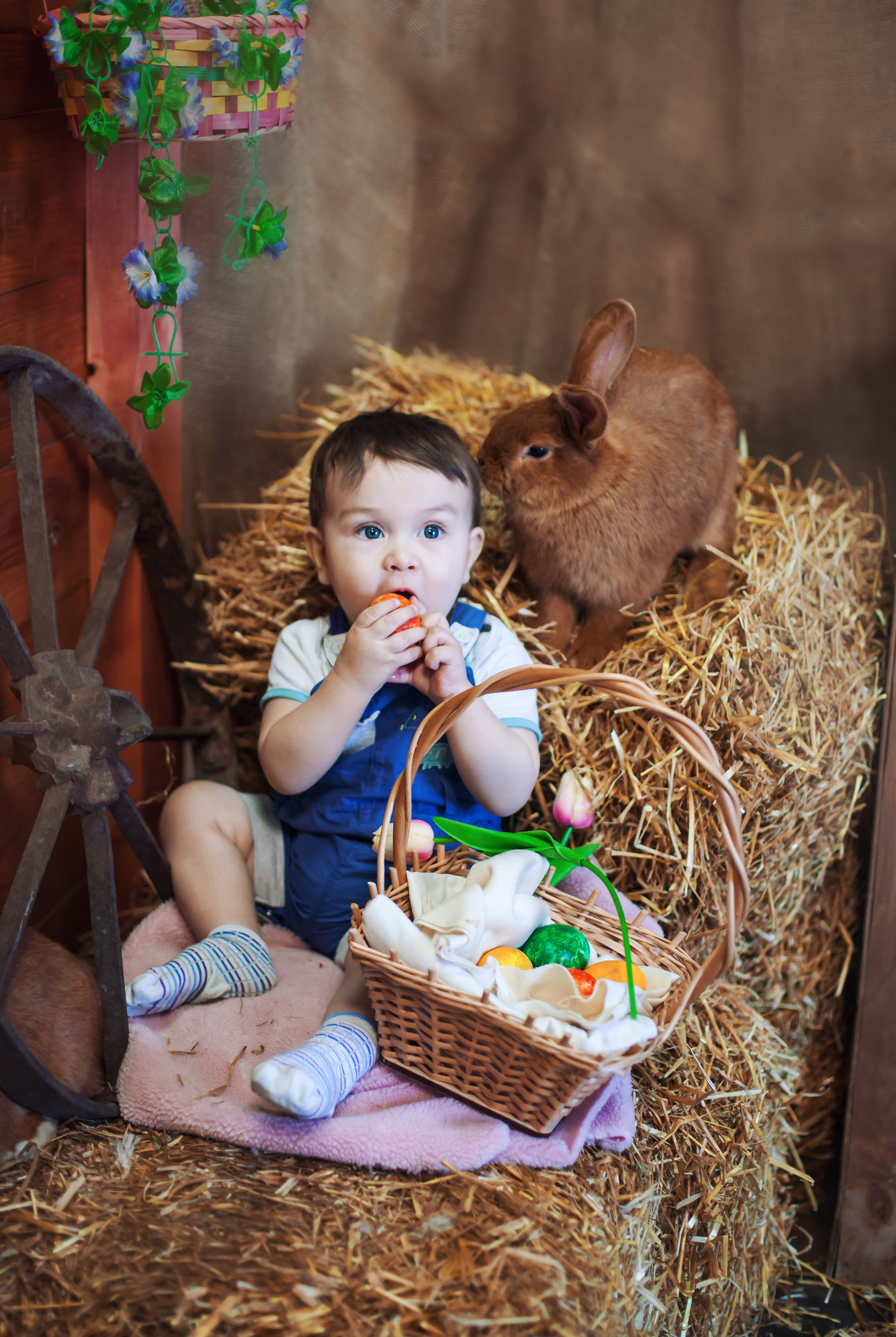 Семейный и свадебный фотограф в Ярославле Надежда Бойкова