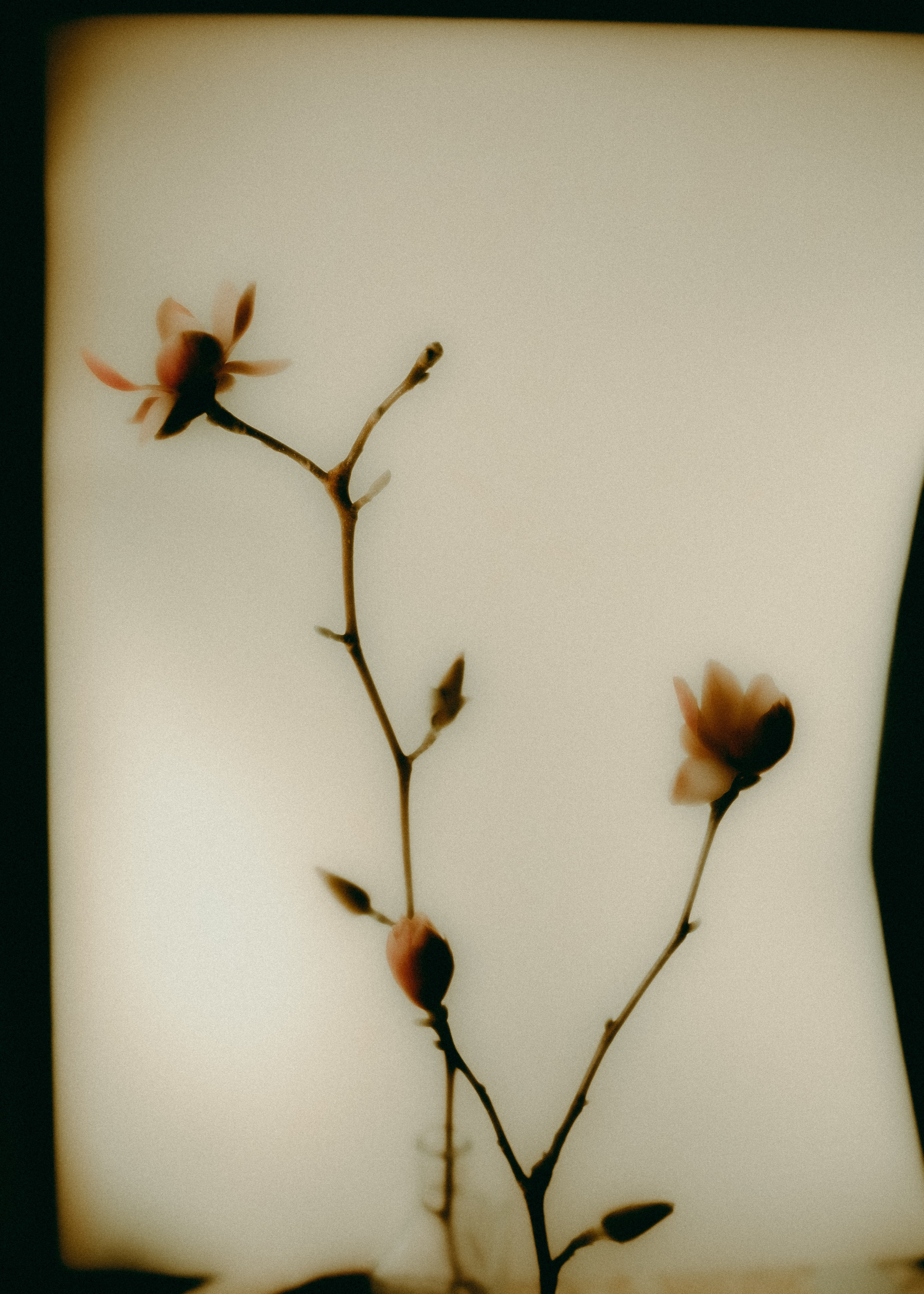 Арт-фотограф Даня Карельский