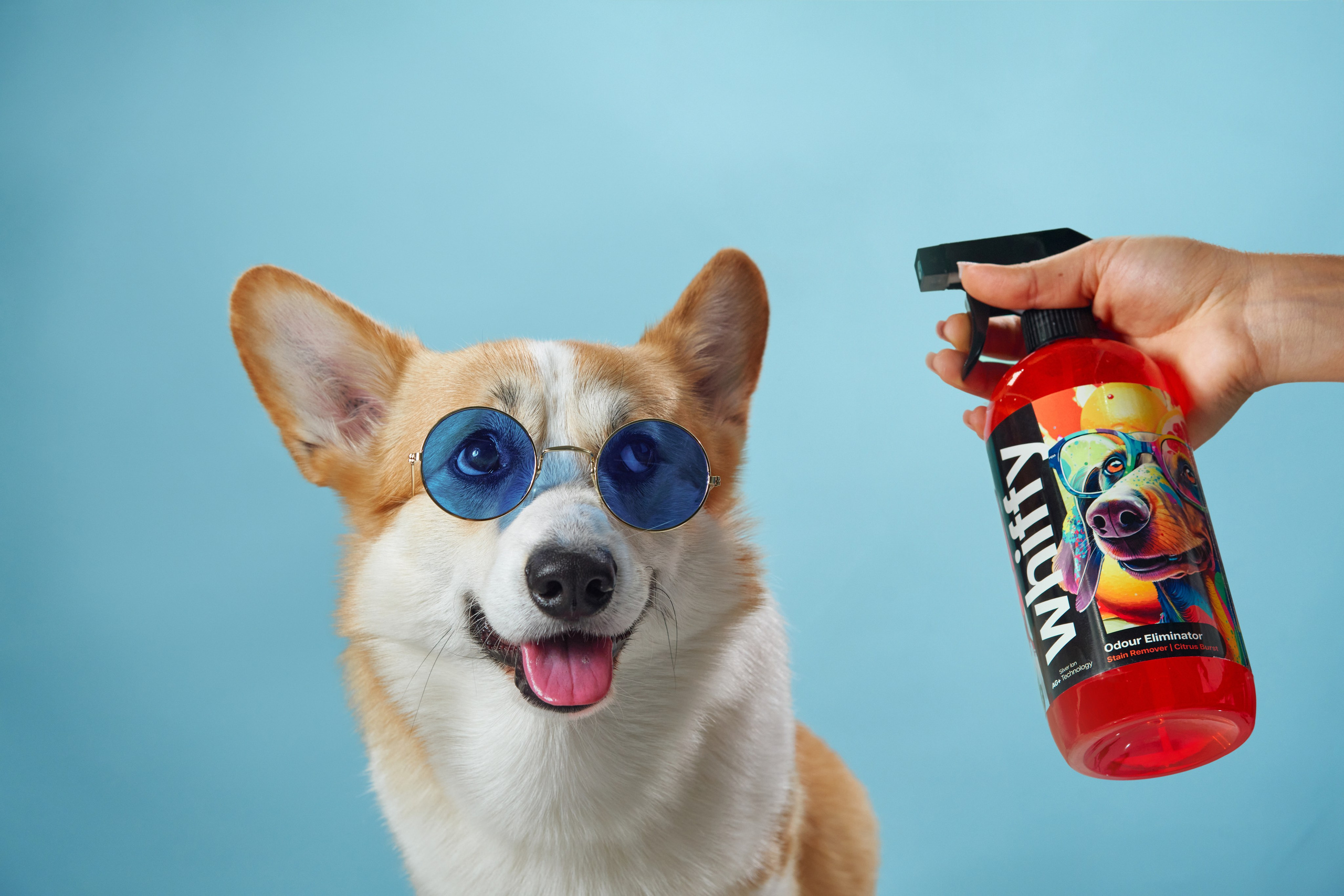 Pet Advertising Photography | Commercial Shoots with Dogs & Cats. Dog photographer Averianova Anna — Art photography of dogs