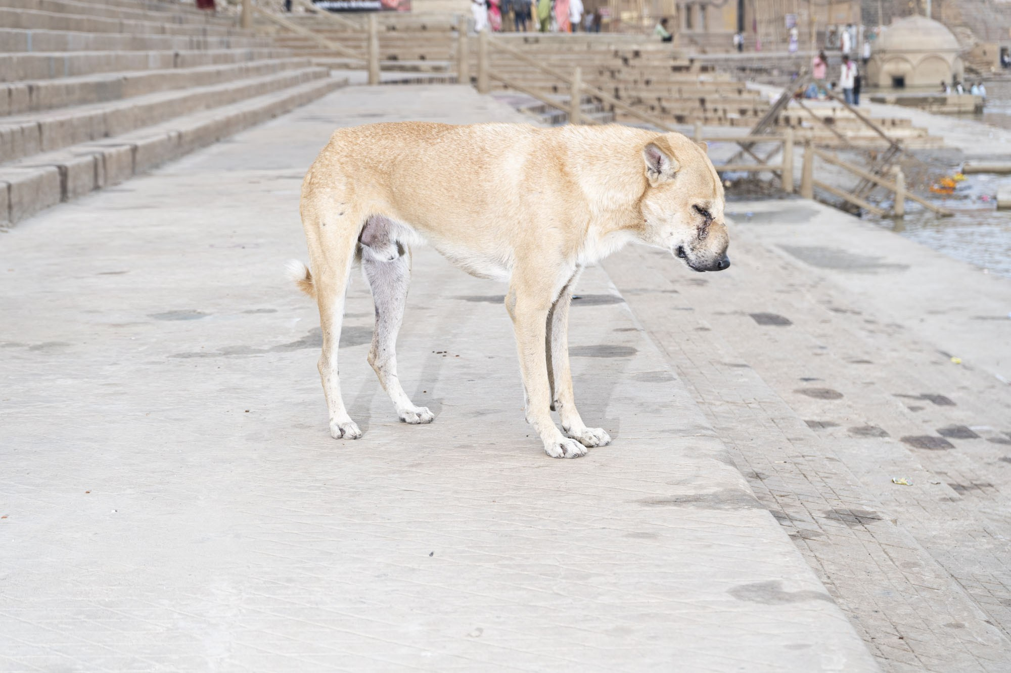 The Current That Carries Away. Alena Ahmadullina