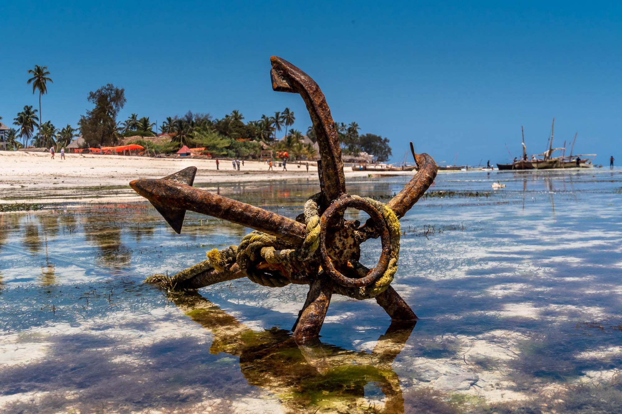 Африка, Танзания, Занзибар, Нунгви. Africa, Tanzania, Zanzibar, Nungwi. Фотограф Алексей Скоробогатько