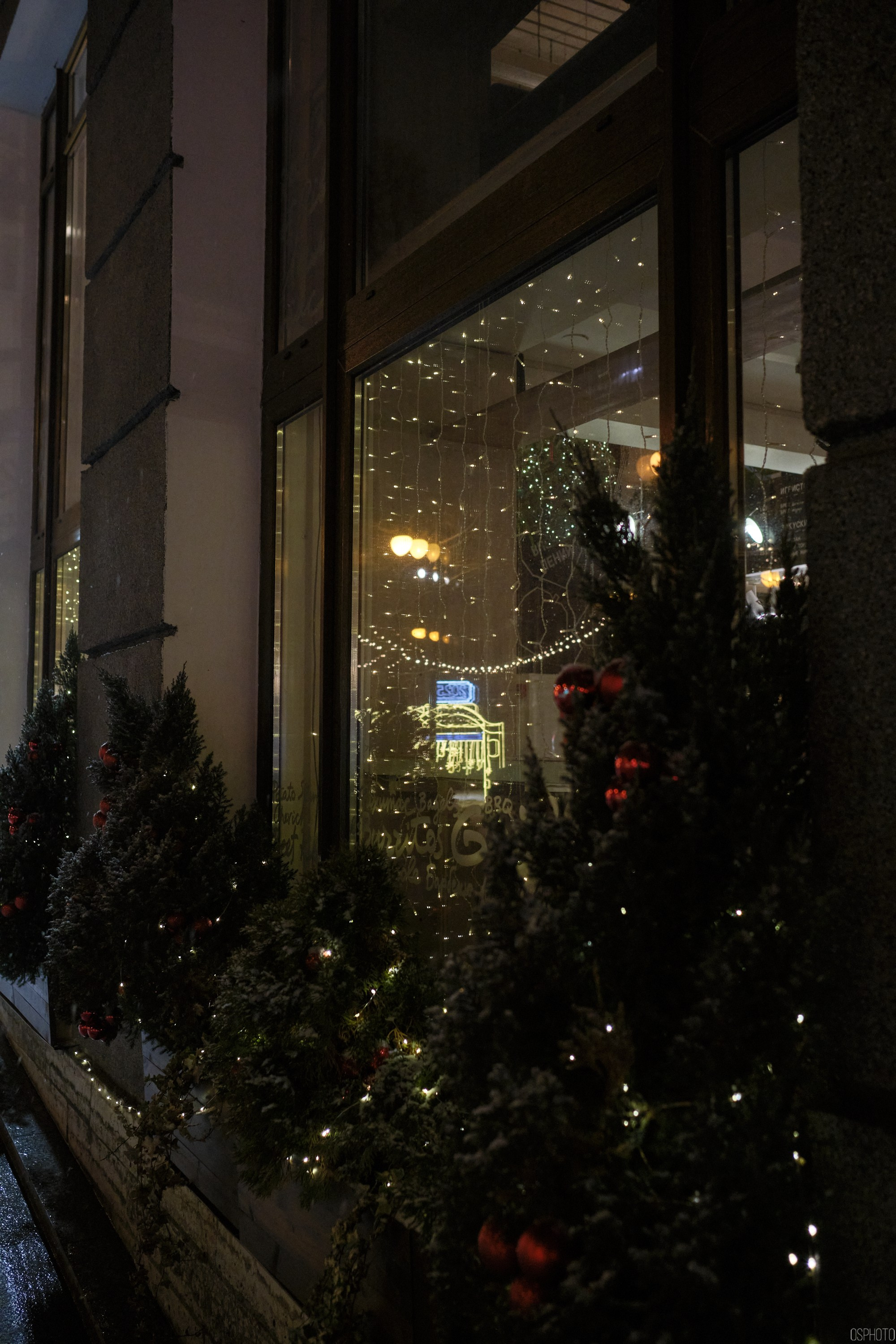 Снег и туман в Санкт-Петербурге. Фотографъ Сергѣевъ. Поймать мгновеніе