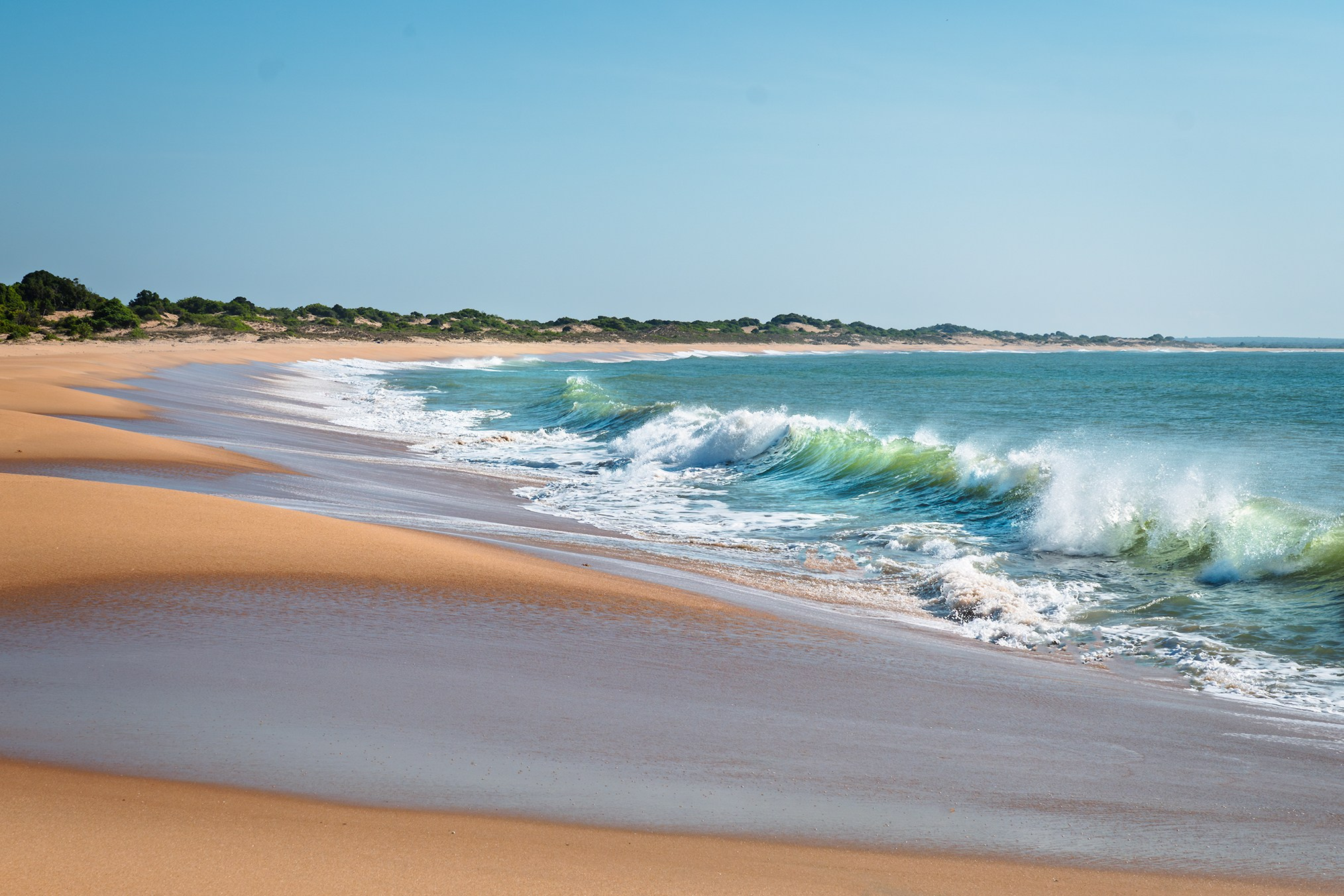 Sri-Lanka. High-quality interior photos for your home, office, hotel