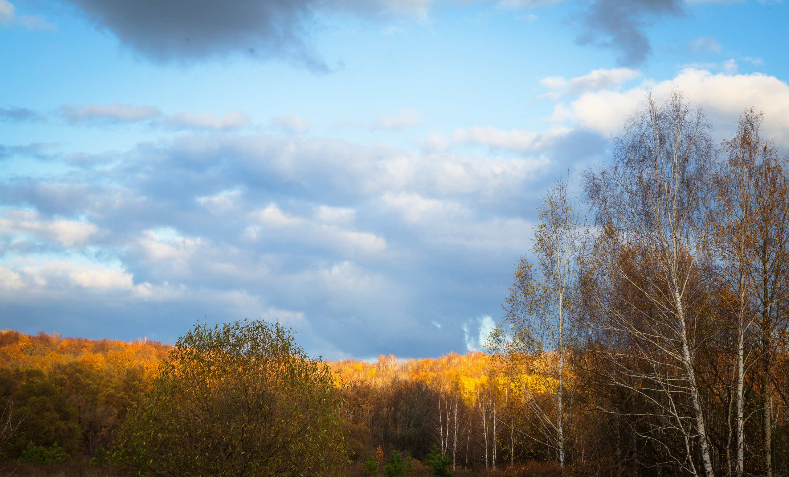 ТВОРЧЕСТВО. Творческая студия АЛНИфото