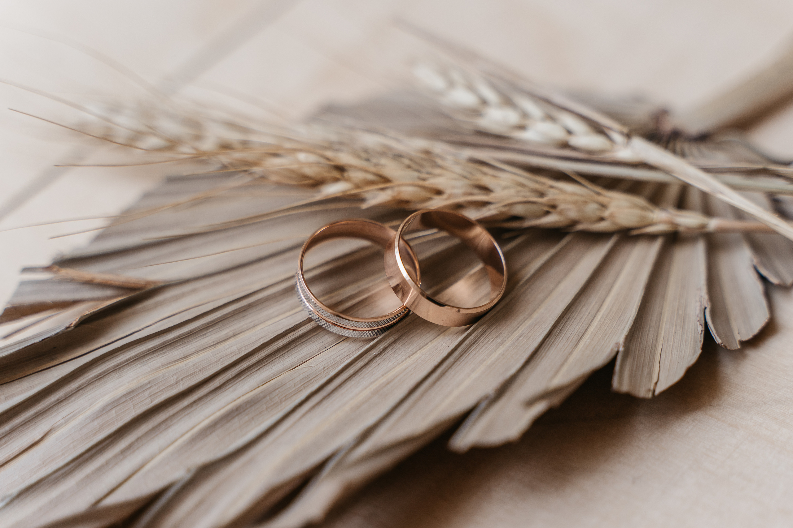 Свадьба Виктории и Якова. Фотограф Татьяна Мамонтова