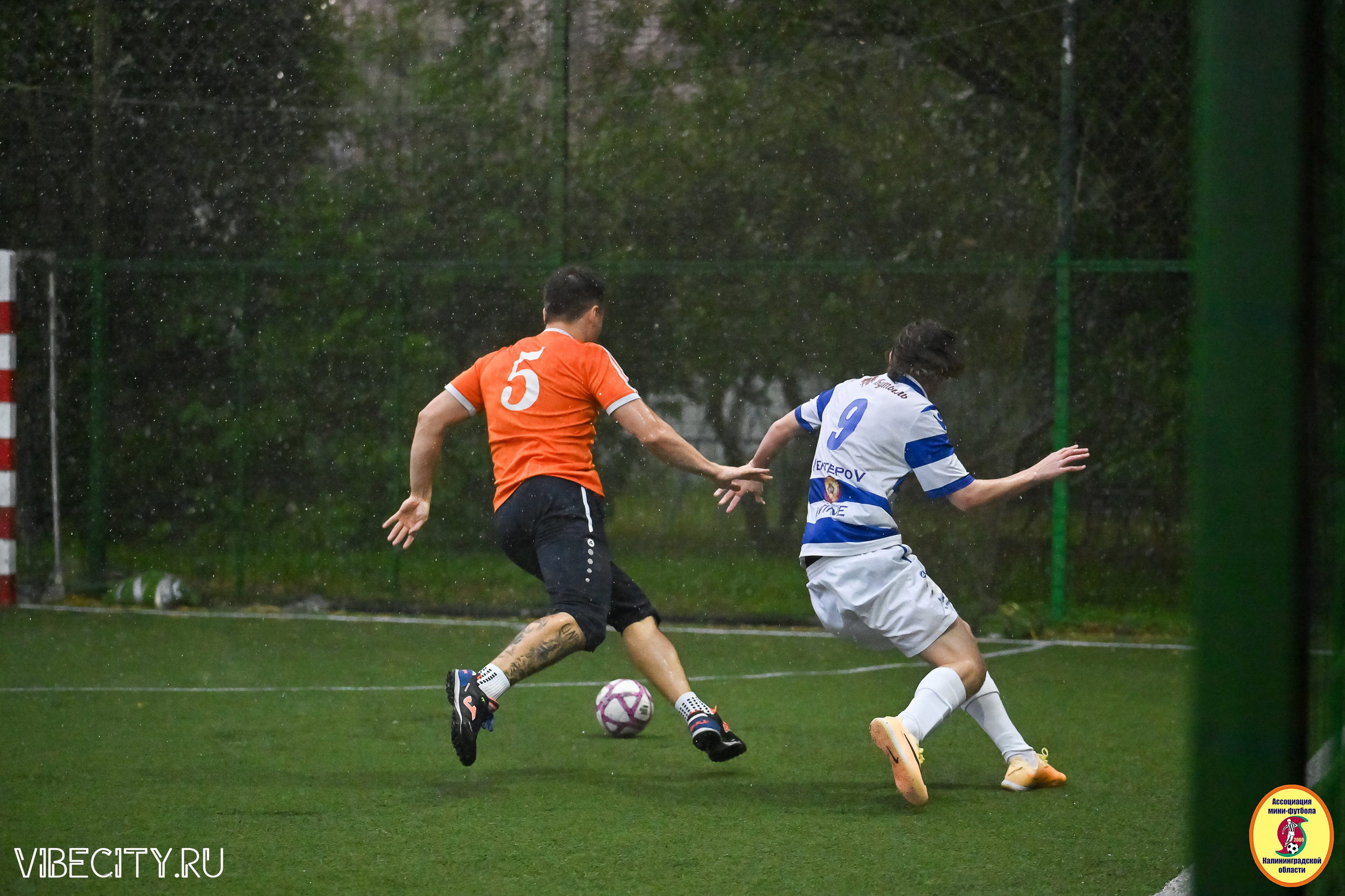 ИГРЫ МИНИ-ФУТБОЛЬНОЙ И КОРПОРАТИВНОЙ ЛИГИ. VIBECITY.RU Вайб Сити Ру Фоторепортажи Фотоотчеты Калининград