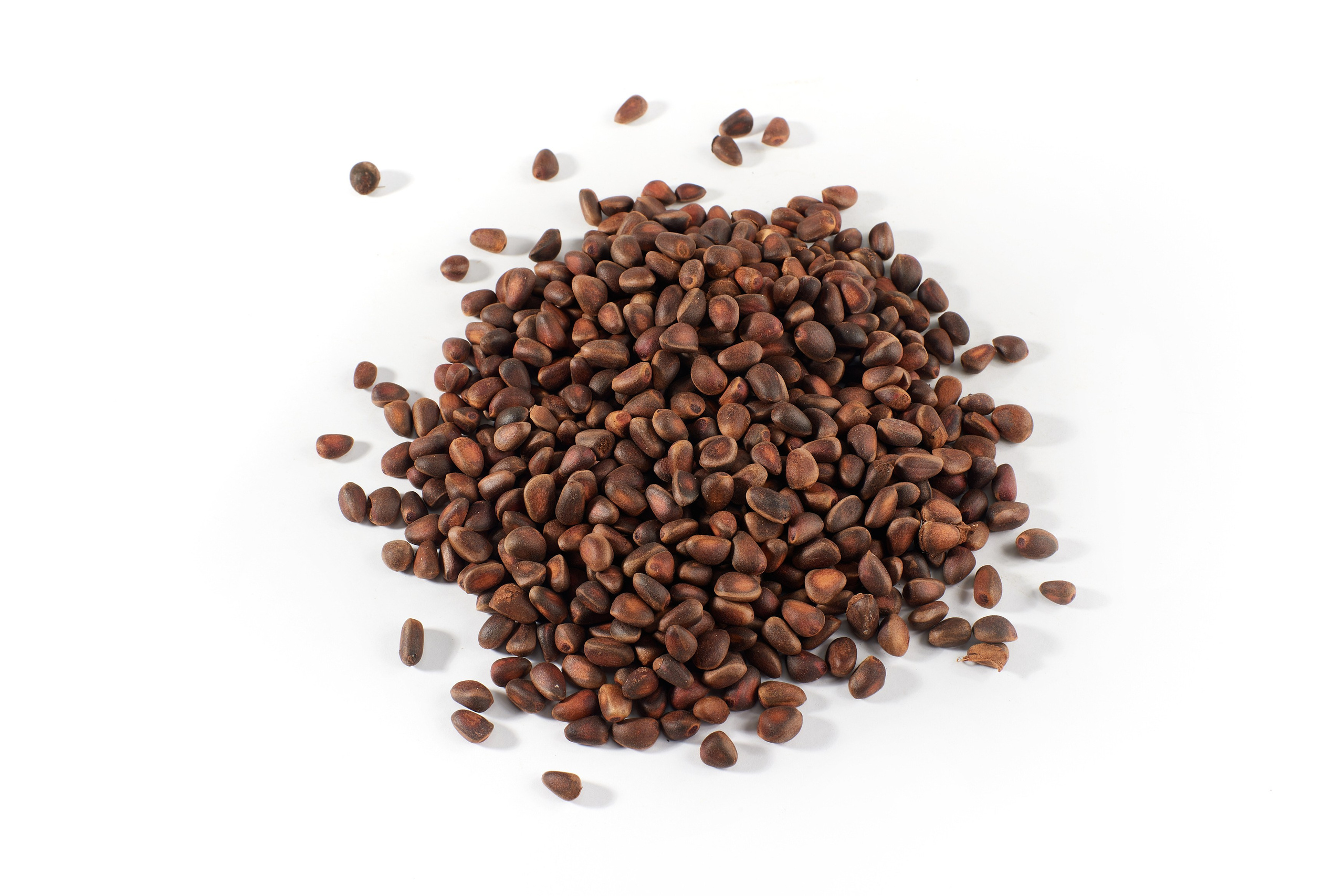 Nut4Life. Фотограф Сергей Бойко Москва