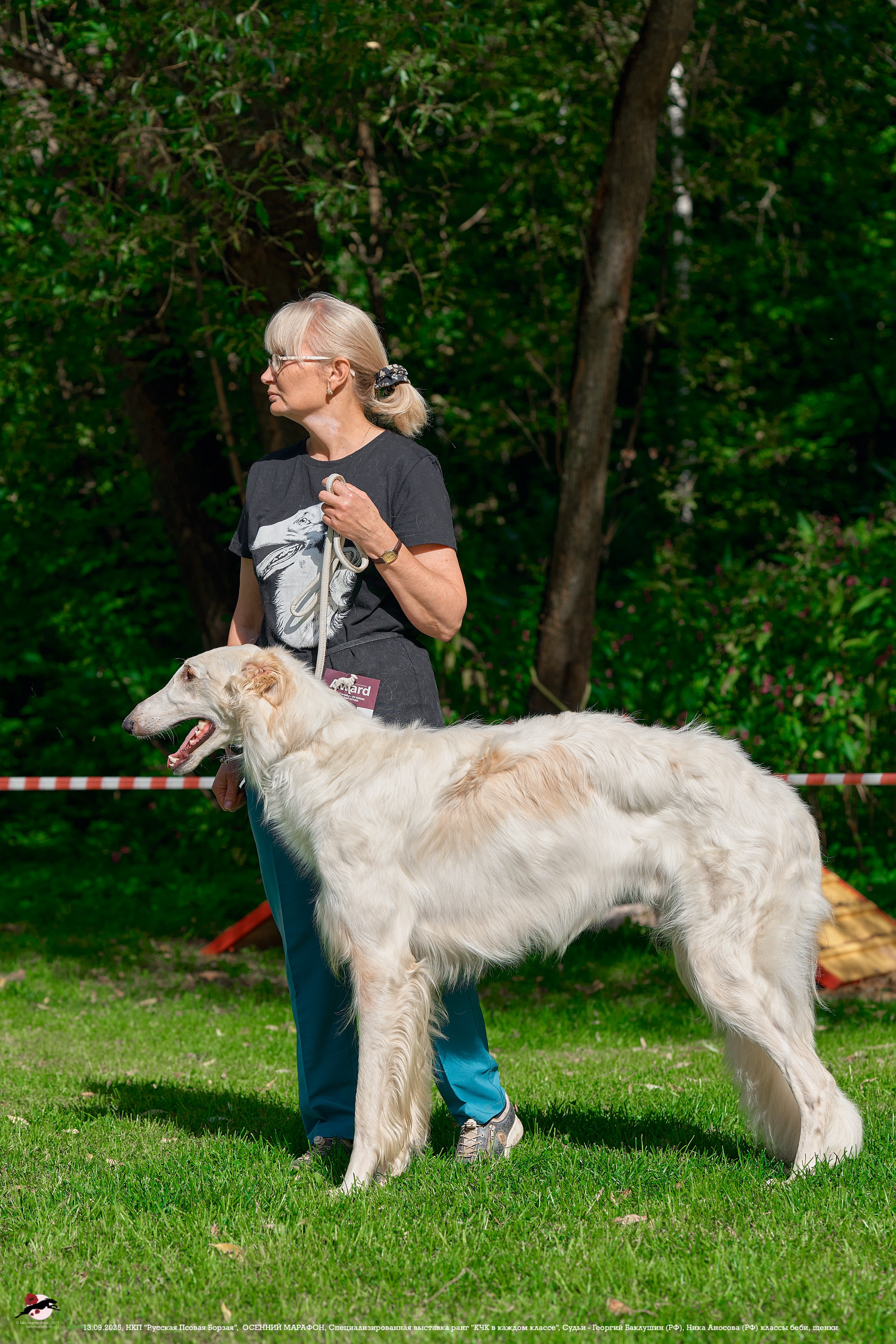 ОСЕННИЙ МАРАФОН | Специализированная выставка породы Русская Псовая Борзая ранг "КЧК в каждом классе"