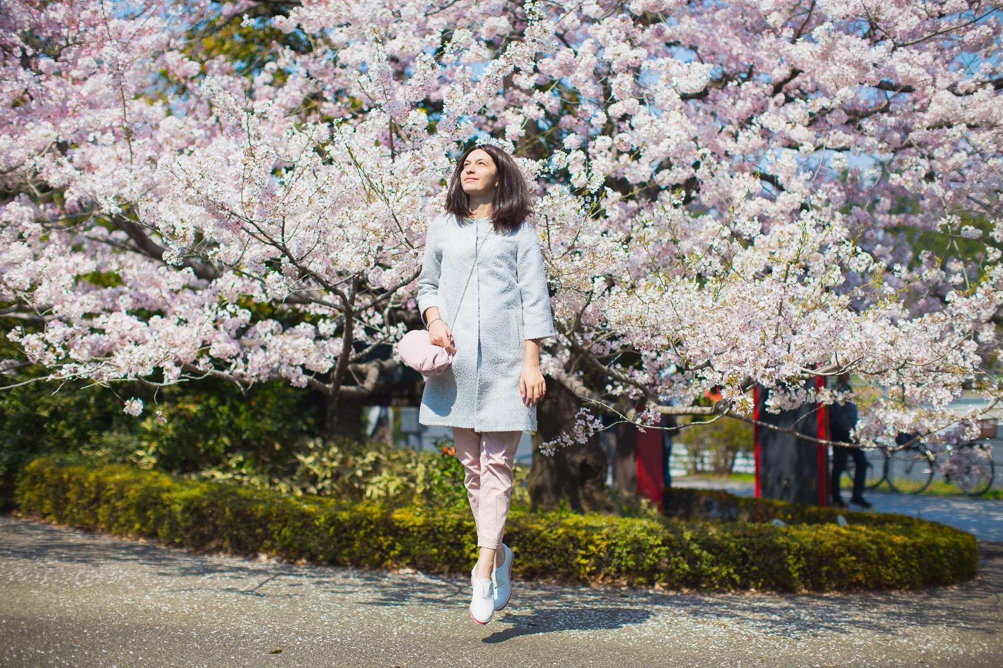 Japan, Tokyo, April 2017(Япония, цветение сакуры). Wedding and family photographer in Vladivostok Anton Blokhin