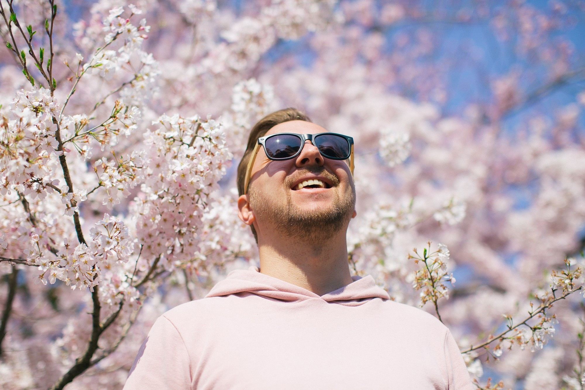 Japan, Tokyo, April 2017(Япония, цветение сакуры). Wedding and family photographer in Vladivostok Anton Blokhin