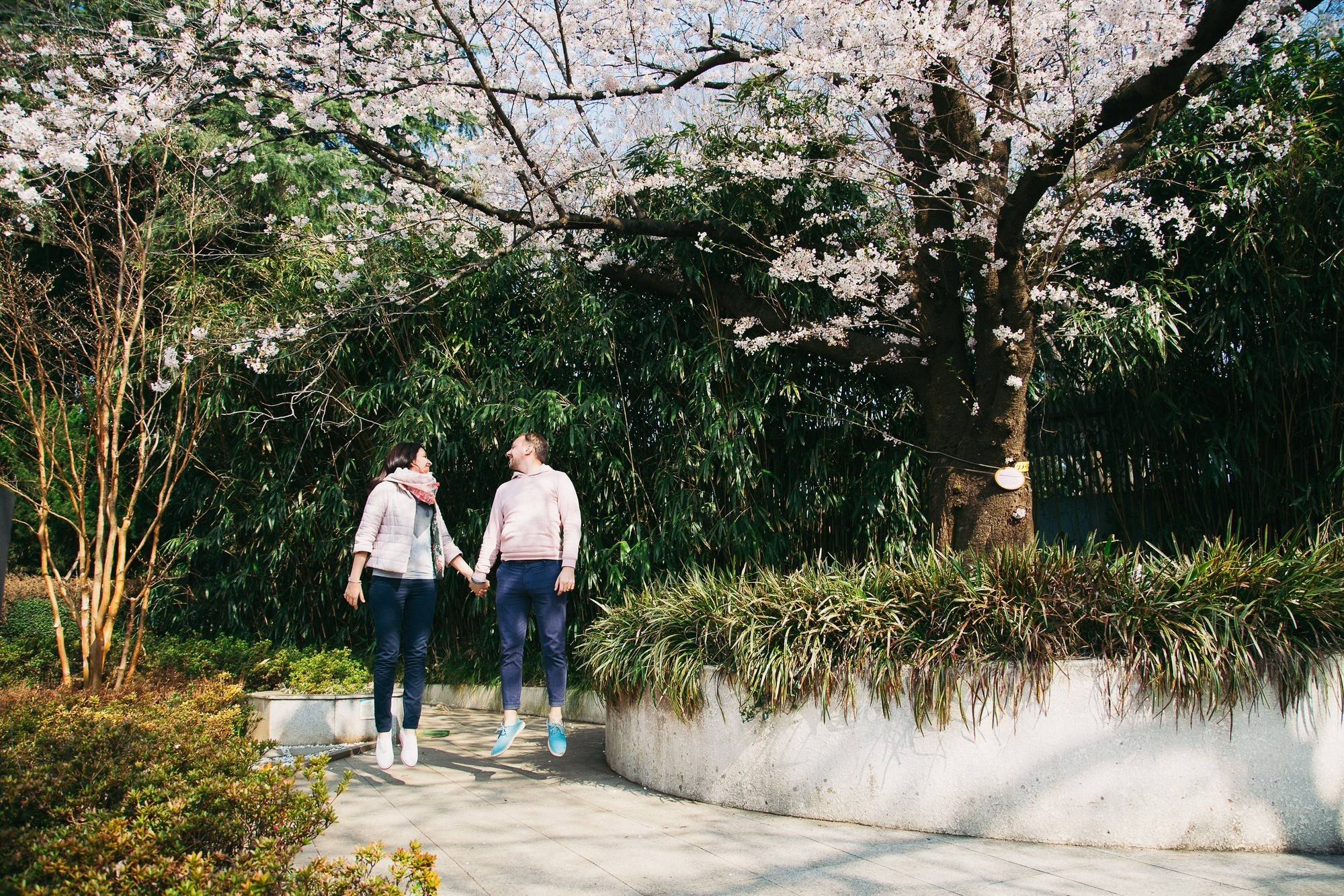 Japan, Tokyo, April 2017(Япония, цветение сакуры). Wedding and family photographer in Vladivostok Anton Blokhin