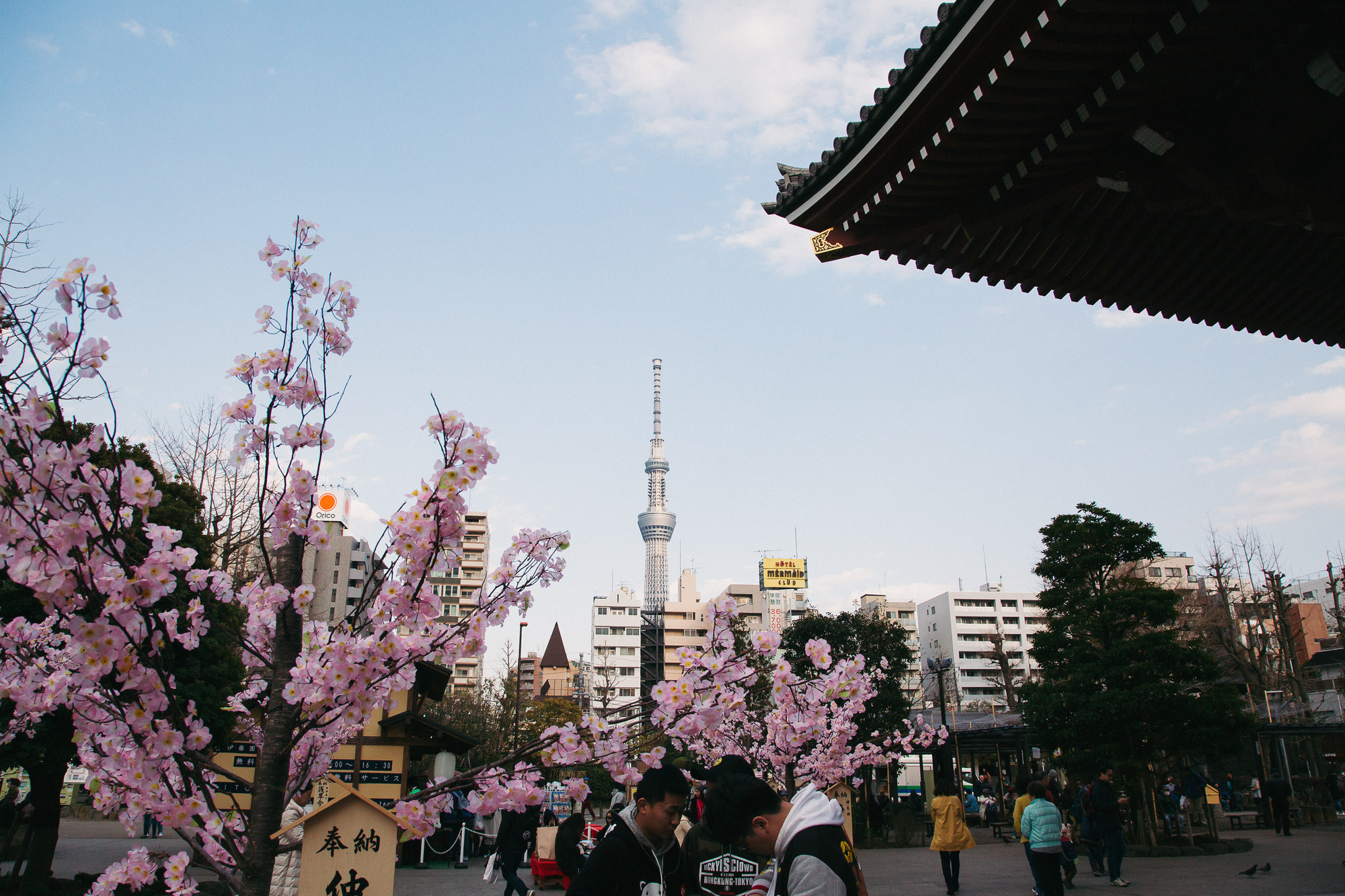 Japan, Tokyo, April 2017(Япония, цветение сакуры). Wedding and family photographer in Vladivostok Anton Blokhin