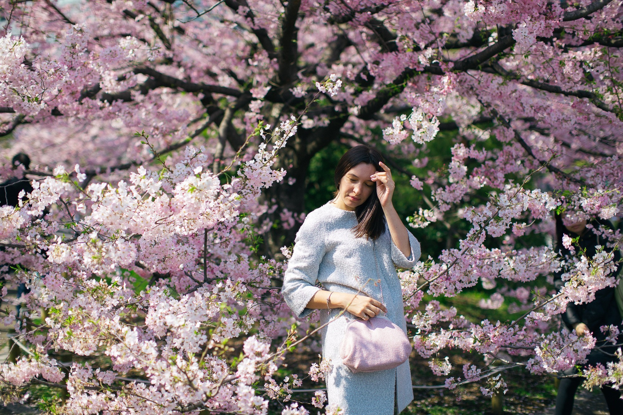 Japan, Tokyo, April 2017(Япония, цветение сакуры). Wedding and family photographer in Vladivostok Anton Blokhin