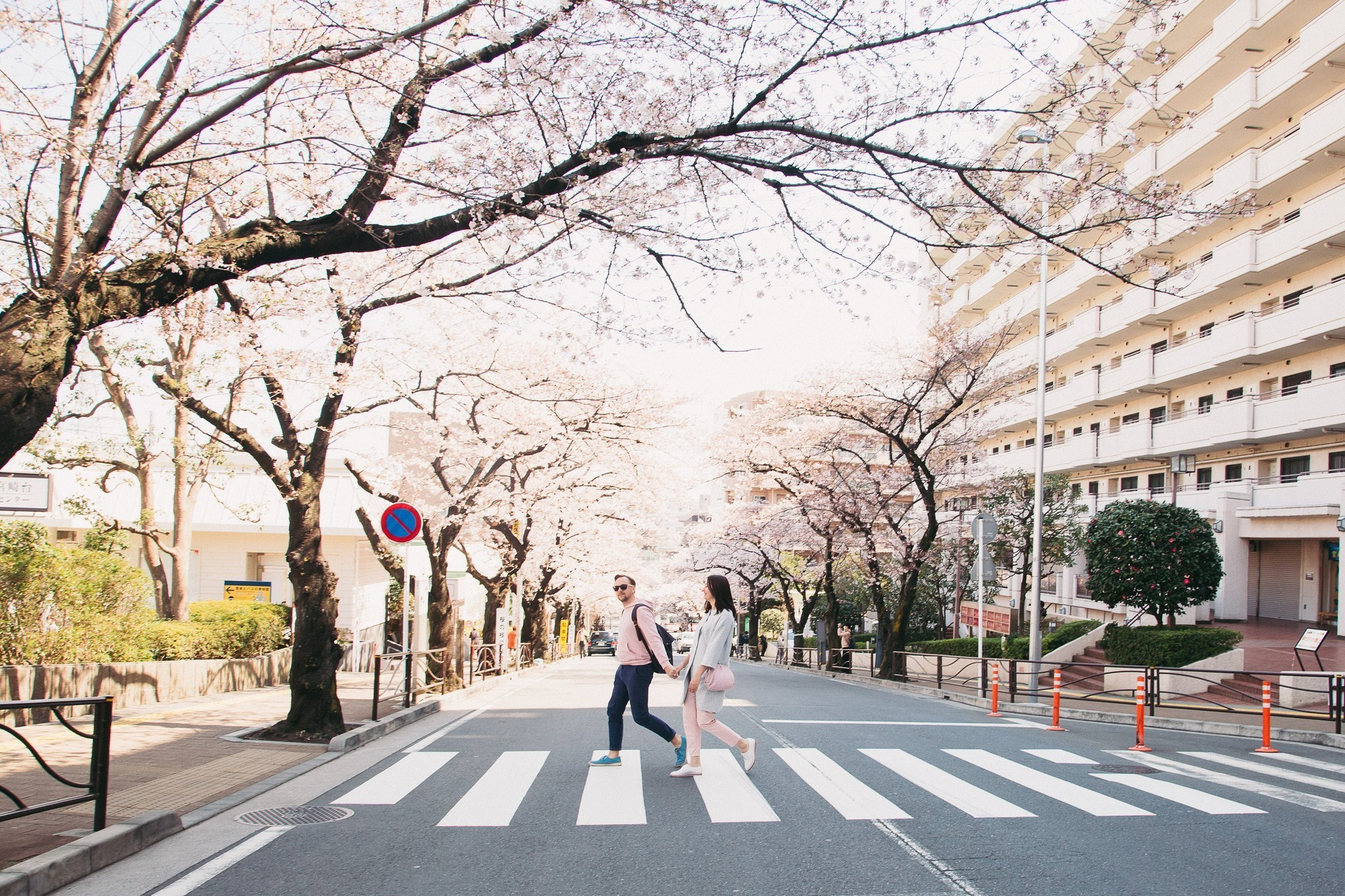 Japan, Tokyo, April 2017(Япония, цветение сакуры). Wedding and family photographer in Vladivostok Anton Blokhin