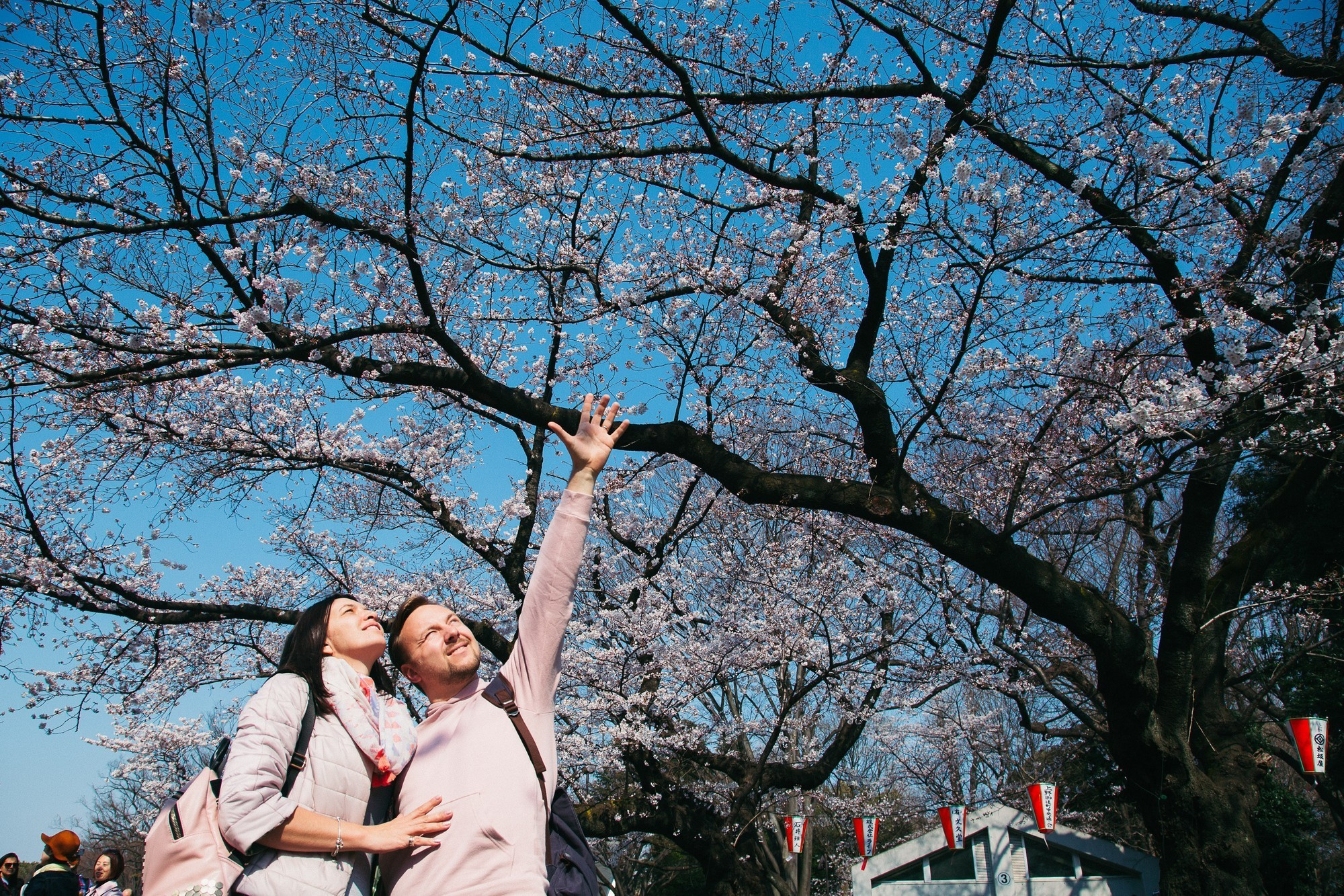 Japan, Tokyo, April 2017(Япония, цветение сакуры). Wedding and family photographer in Vladivostok Anton Blokhin