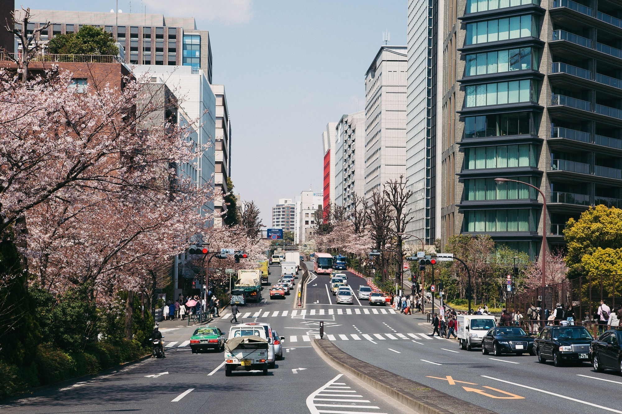 Japan, Tokyo, April 2017(Япония, цветение сакуры). Wedding and family photographer in Vladivostok Anton Blokhin