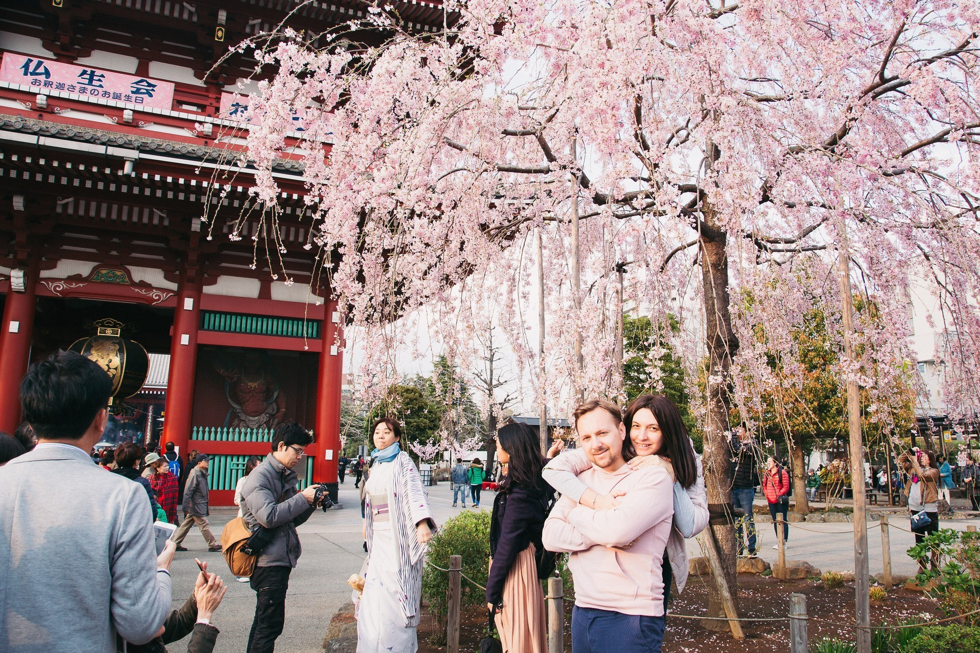 Japan, Tokyo, April 2017(Япония, цветение сакуры). Wedding and family photographer in Vladivostok Anton Blokhin