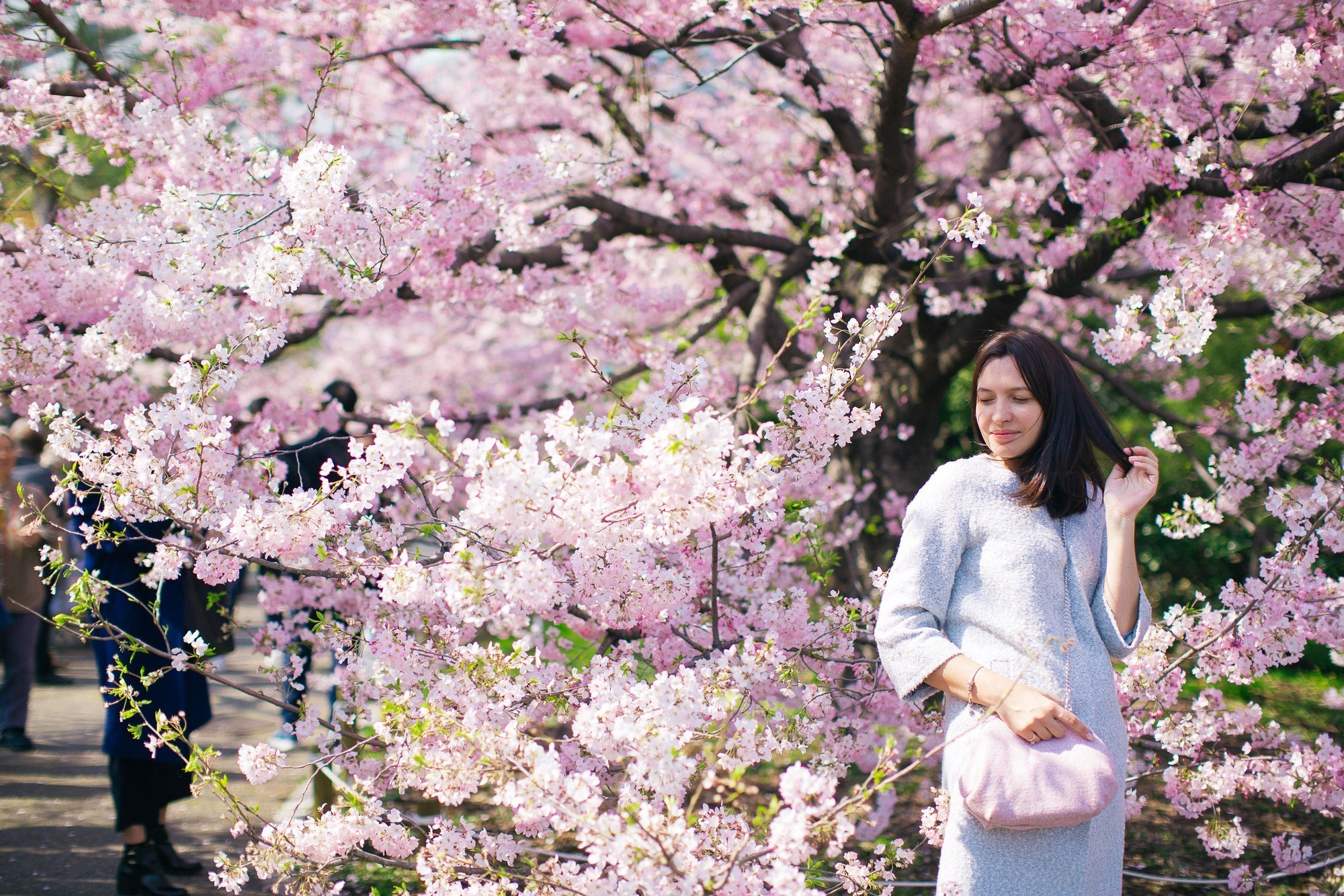 Japan, Tokyo, April 2017(Япония, цветение сакуры). Wedding and family photographer in Vladivostok Anton Blokhin