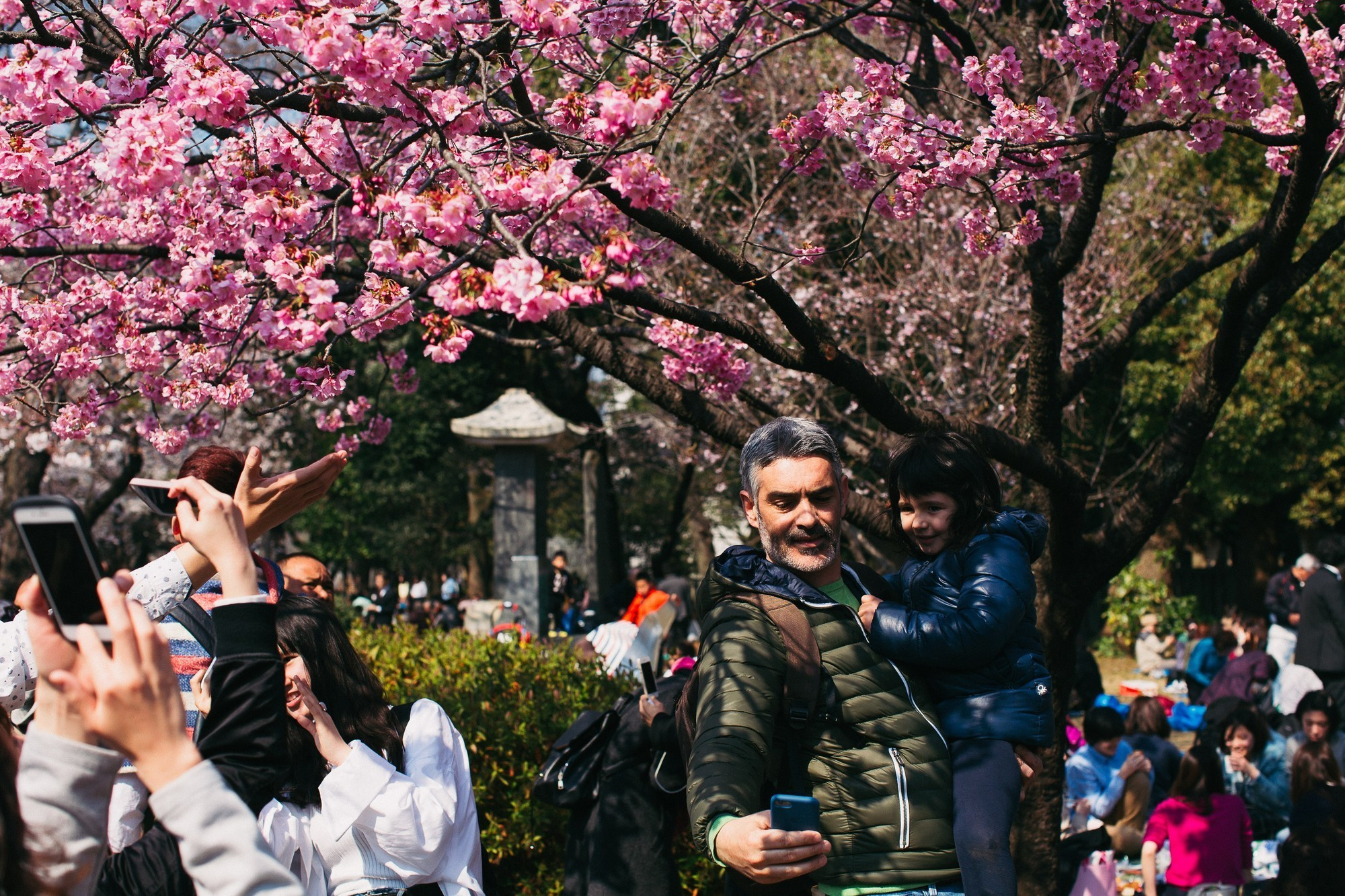 Japan, Tokyo, April 2017(Япония, цветение сакуры). Wedding and family photographer in Vladivostok Anton Blokhin