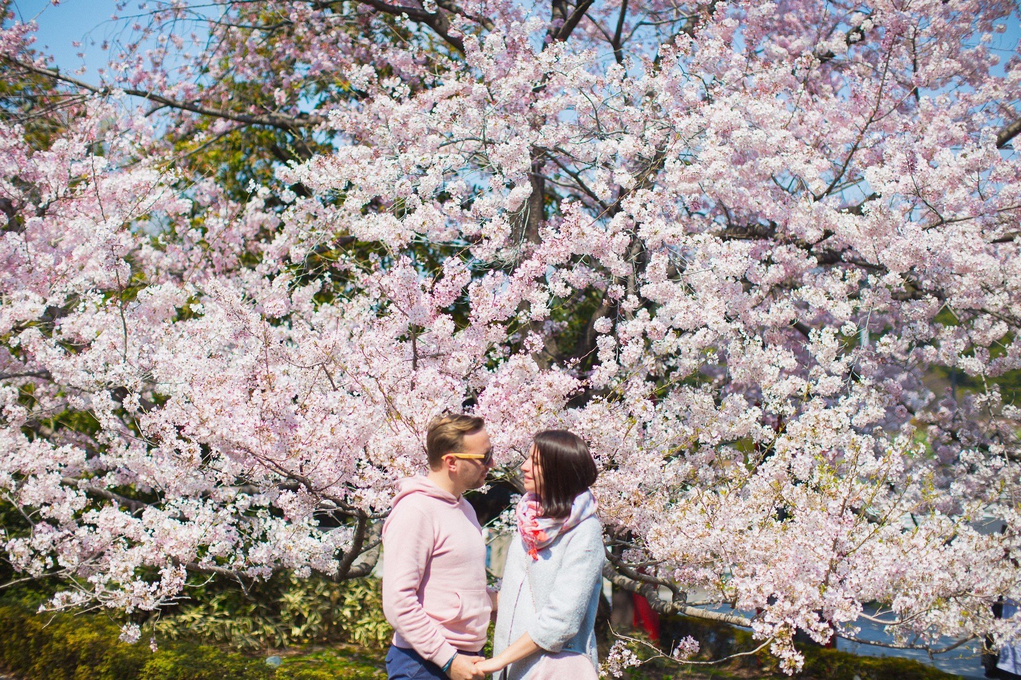 Japan, Tokyo, April 2017(Япония, цветение сакуры). Wedding and family photographer in Vladivostok Anton Blokhin