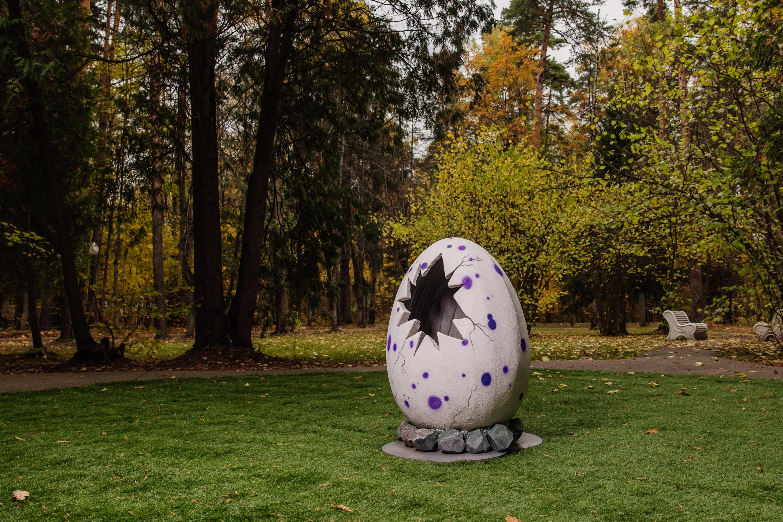 Съемка декора. Репортажный фотограф Ольга Кочетова в Москве