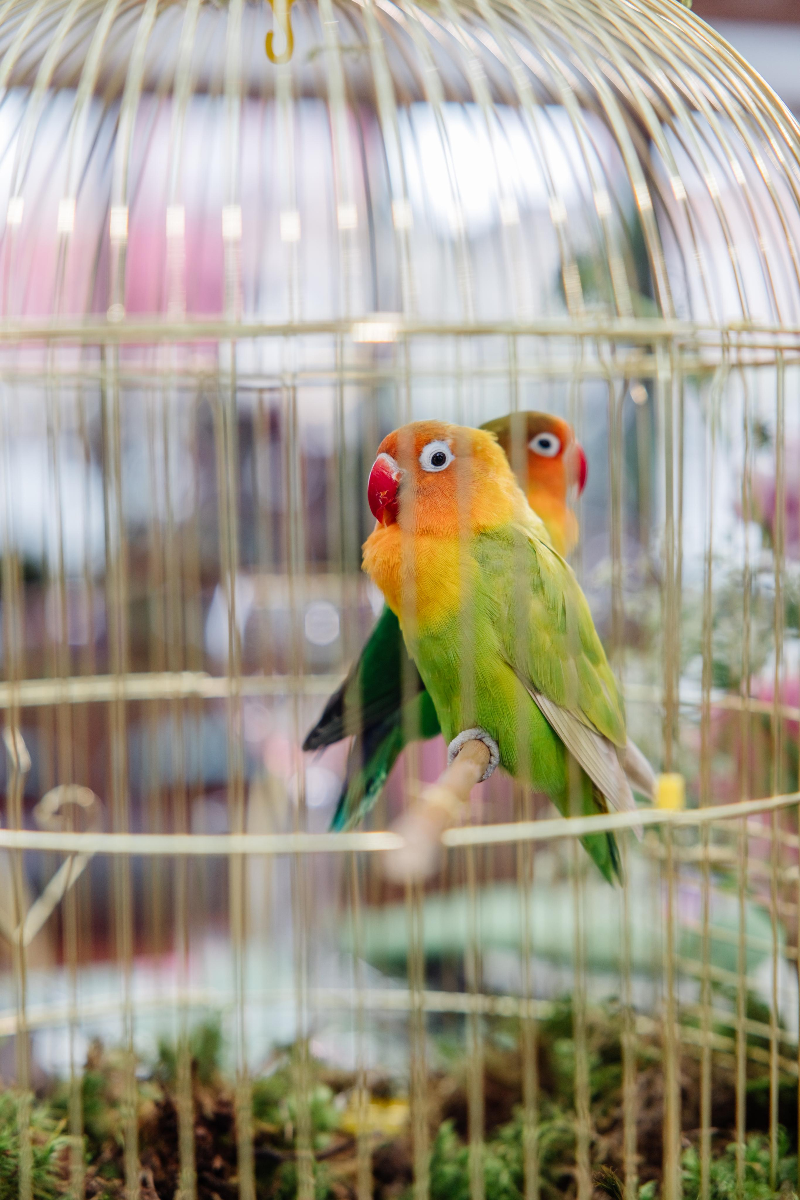 Съемка декора. Репортажный фотограф Ольга Кочетова в Москве
