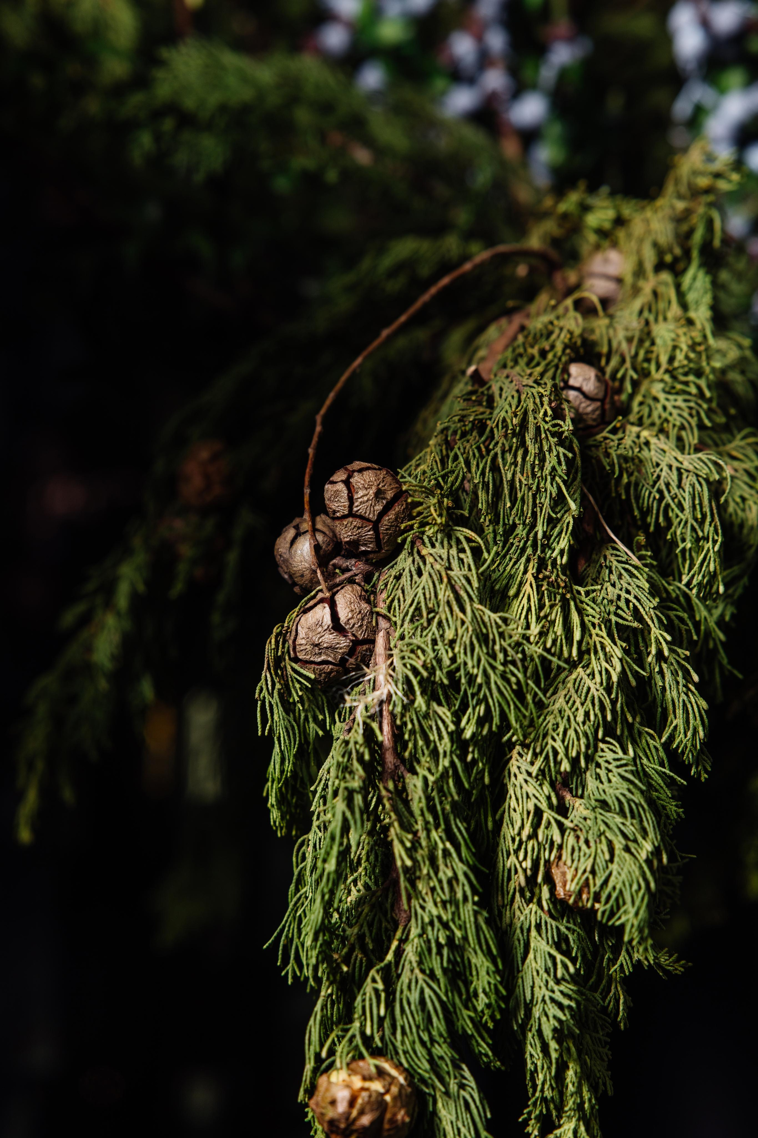 Съемка декора. Репортажный фотограф Ольга Кочетова в Москве