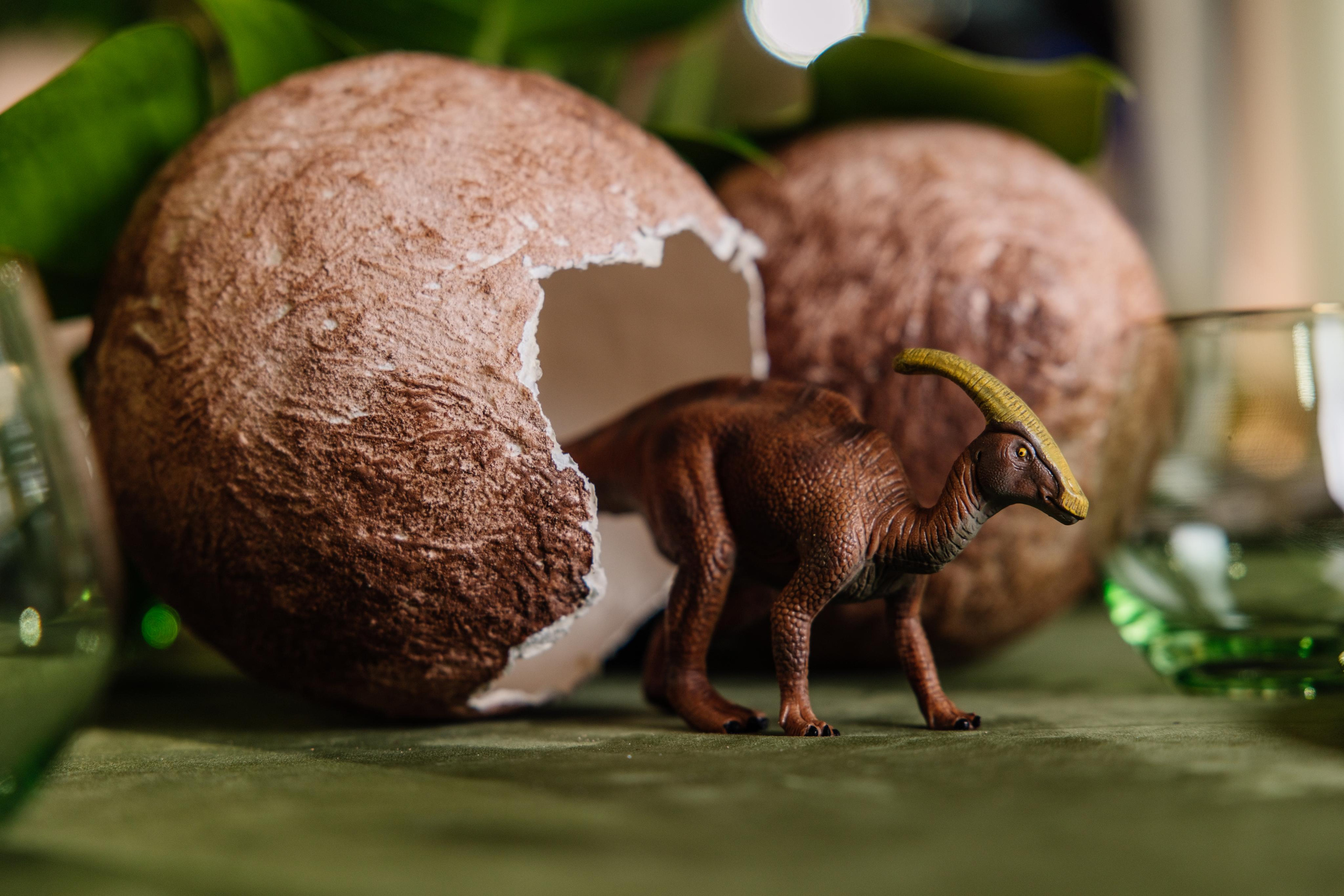 Съемка декора. Репортажный фотограф Ольга Кочетова в Москве